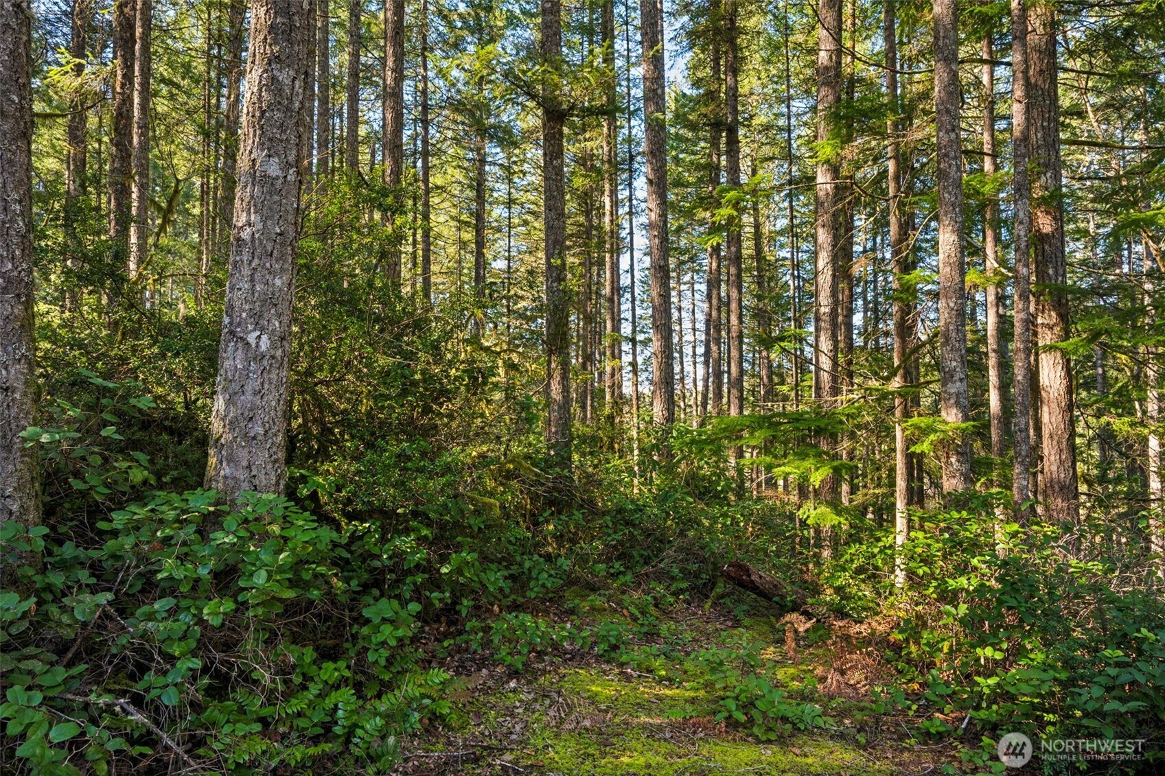 431 NE Collins Lake Drive