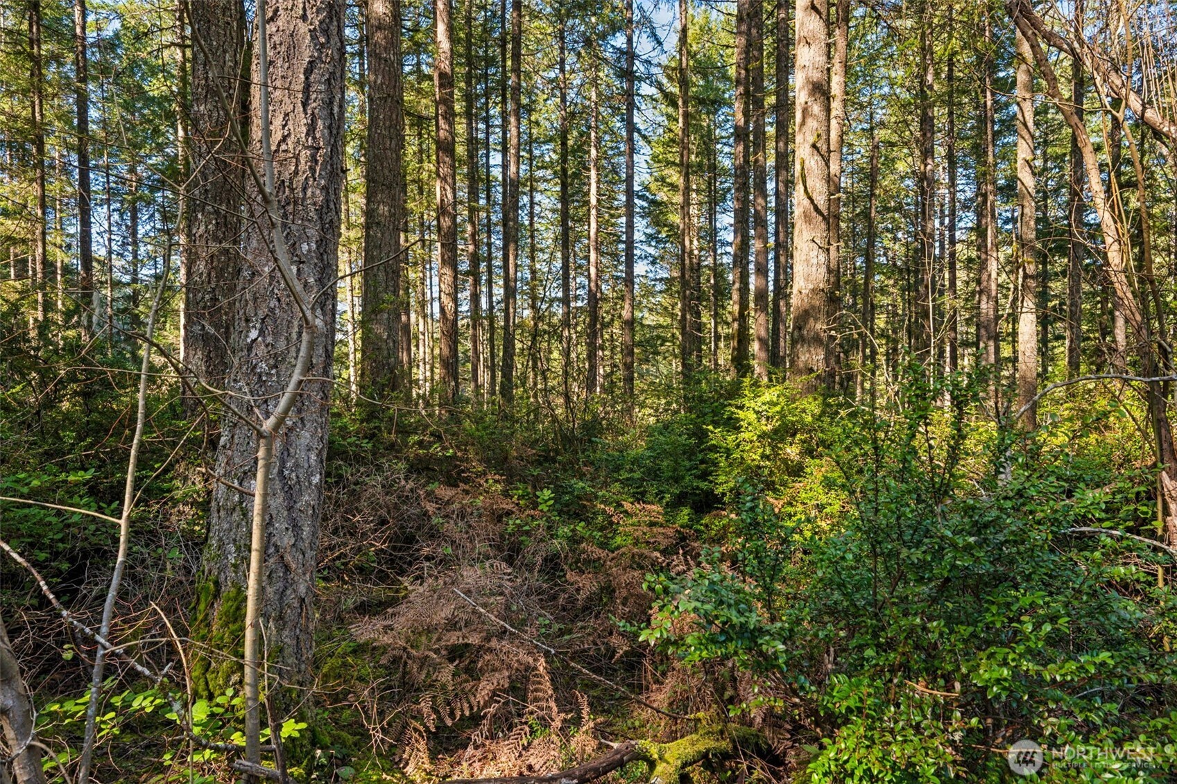 431 NE Collins Lake Drive