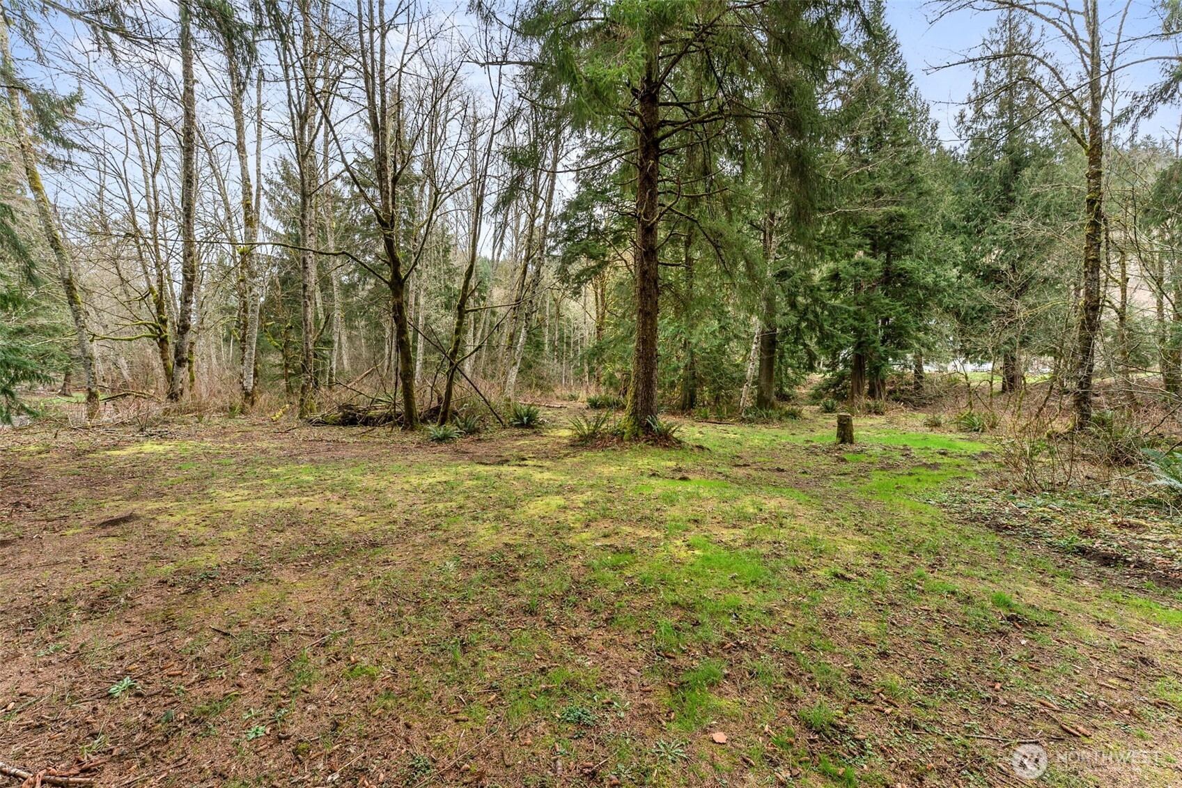 31530 SE 384th Street