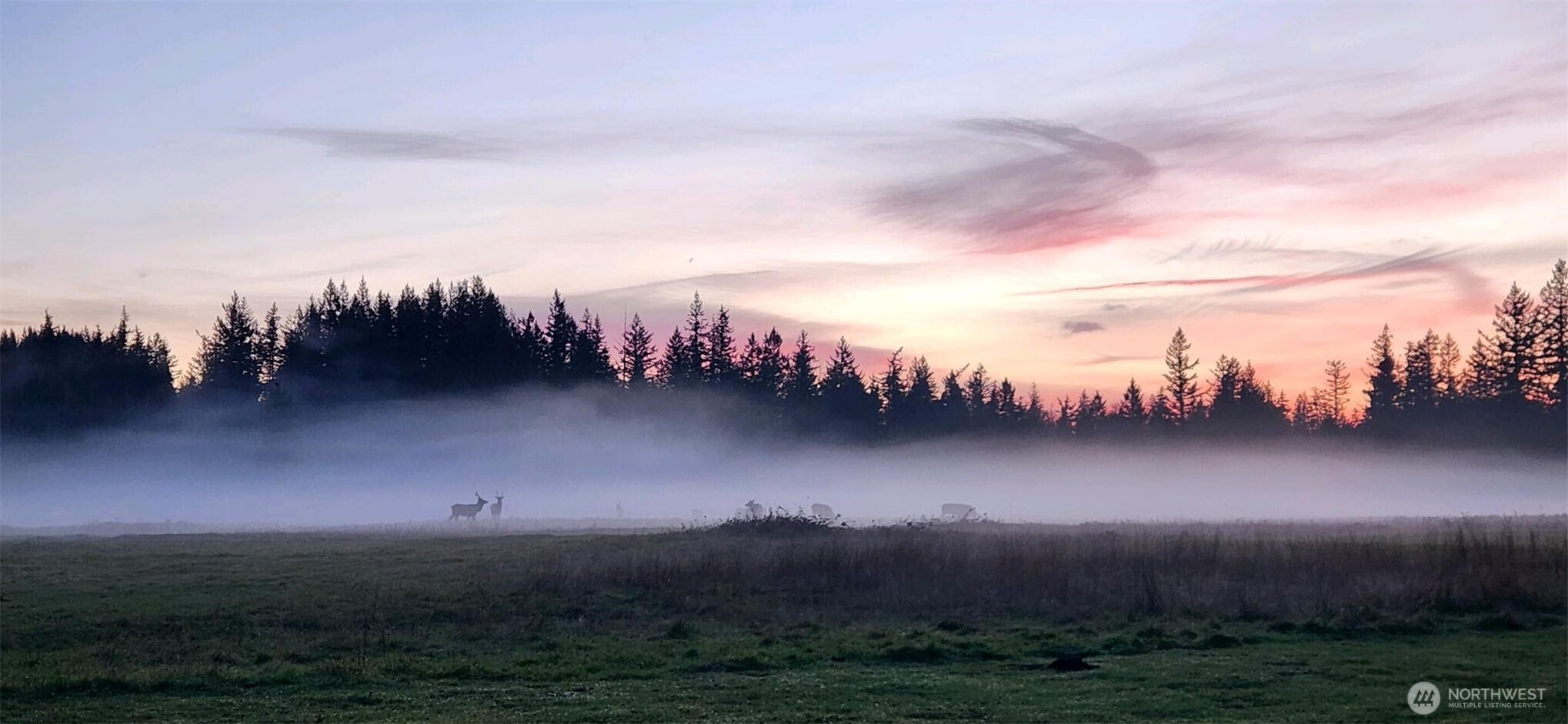 31530 SE 384th Street