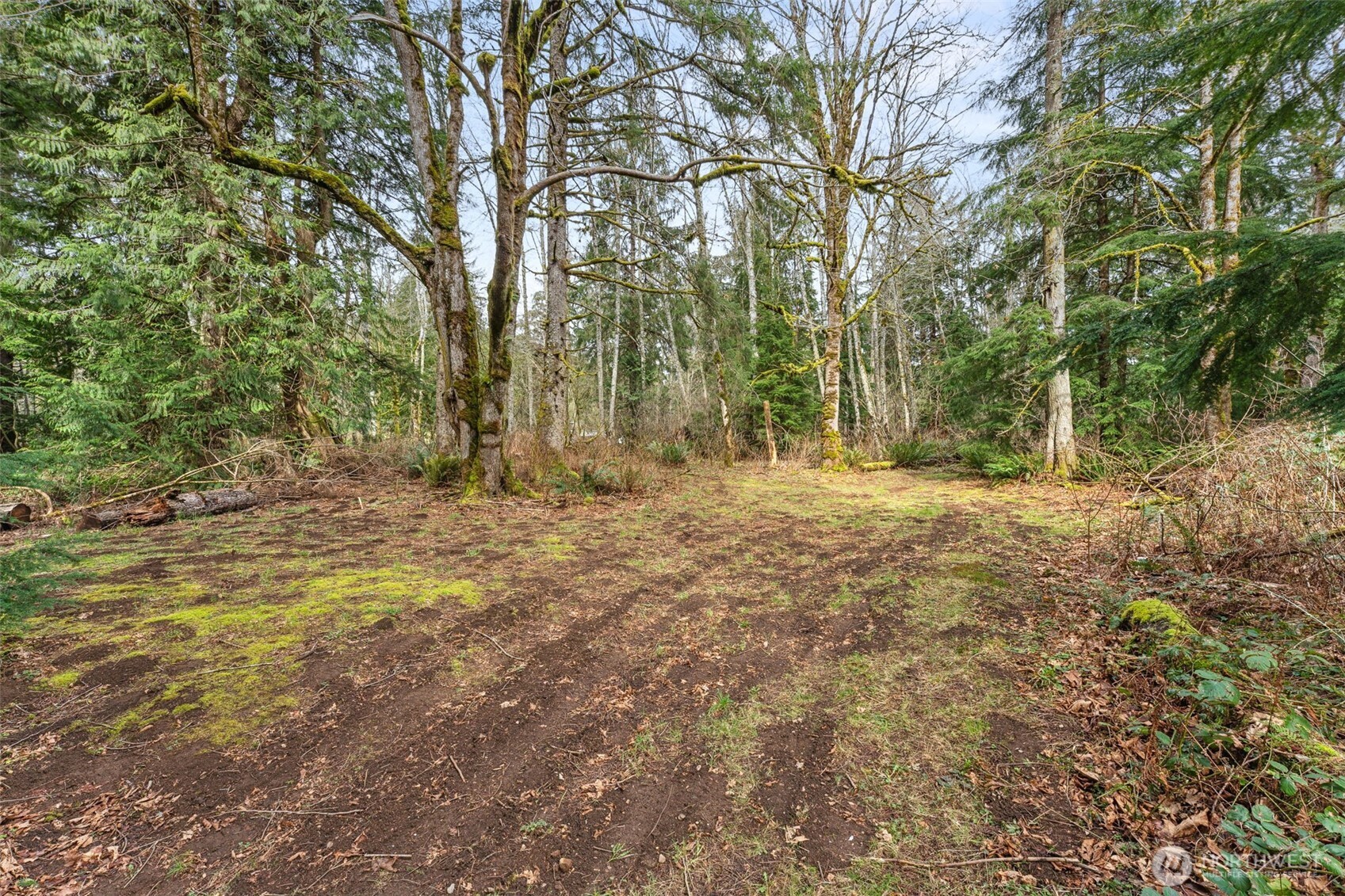 31530 SE 384th Street