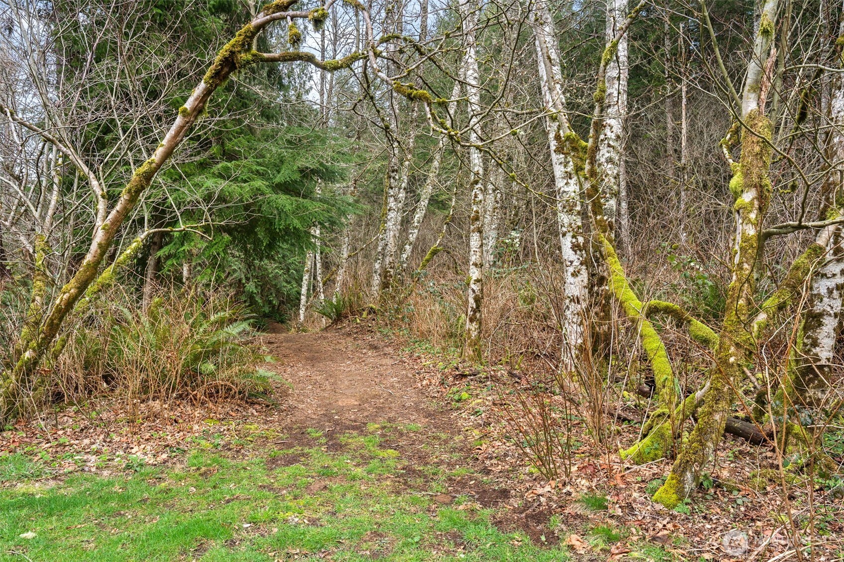 31530 SE 384th Street