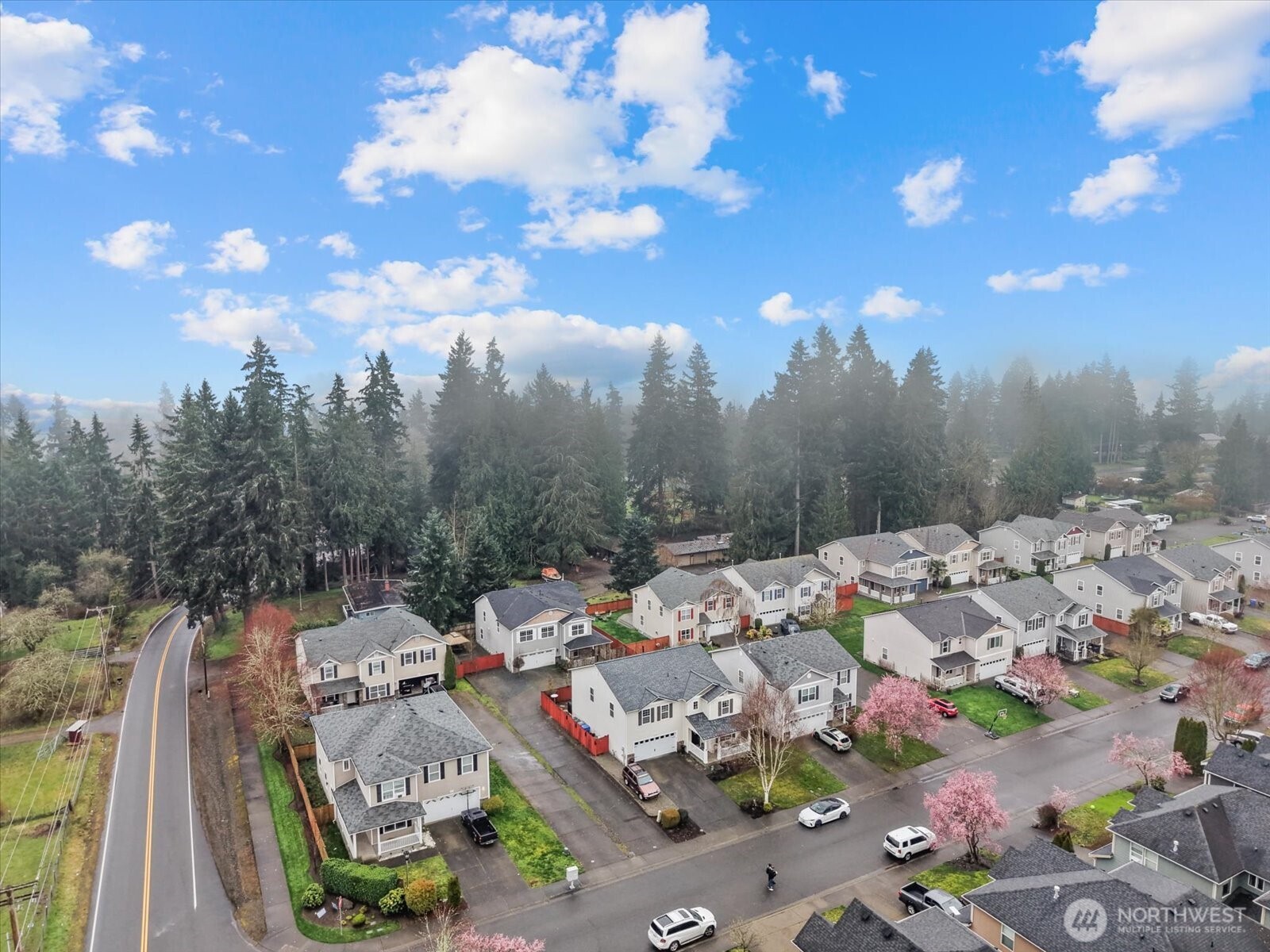 18124 115th Street Ct E