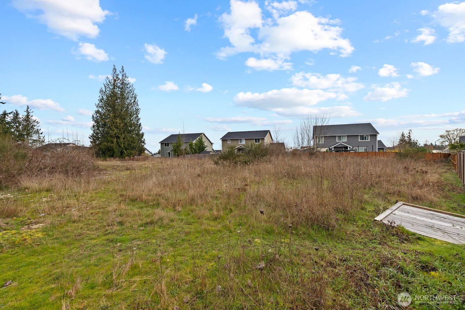 10767 Palisades St Se