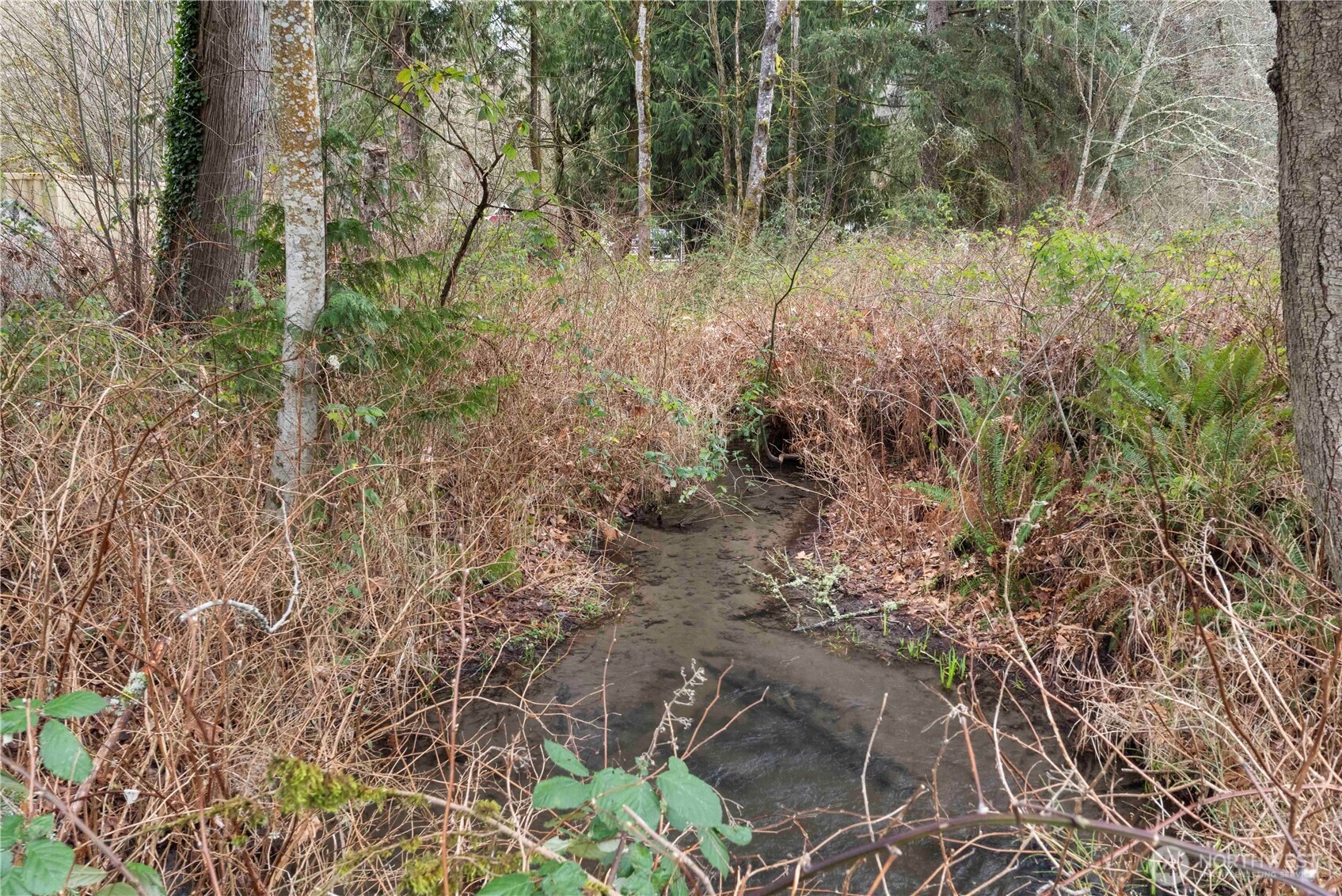 17612 219th Avenue E