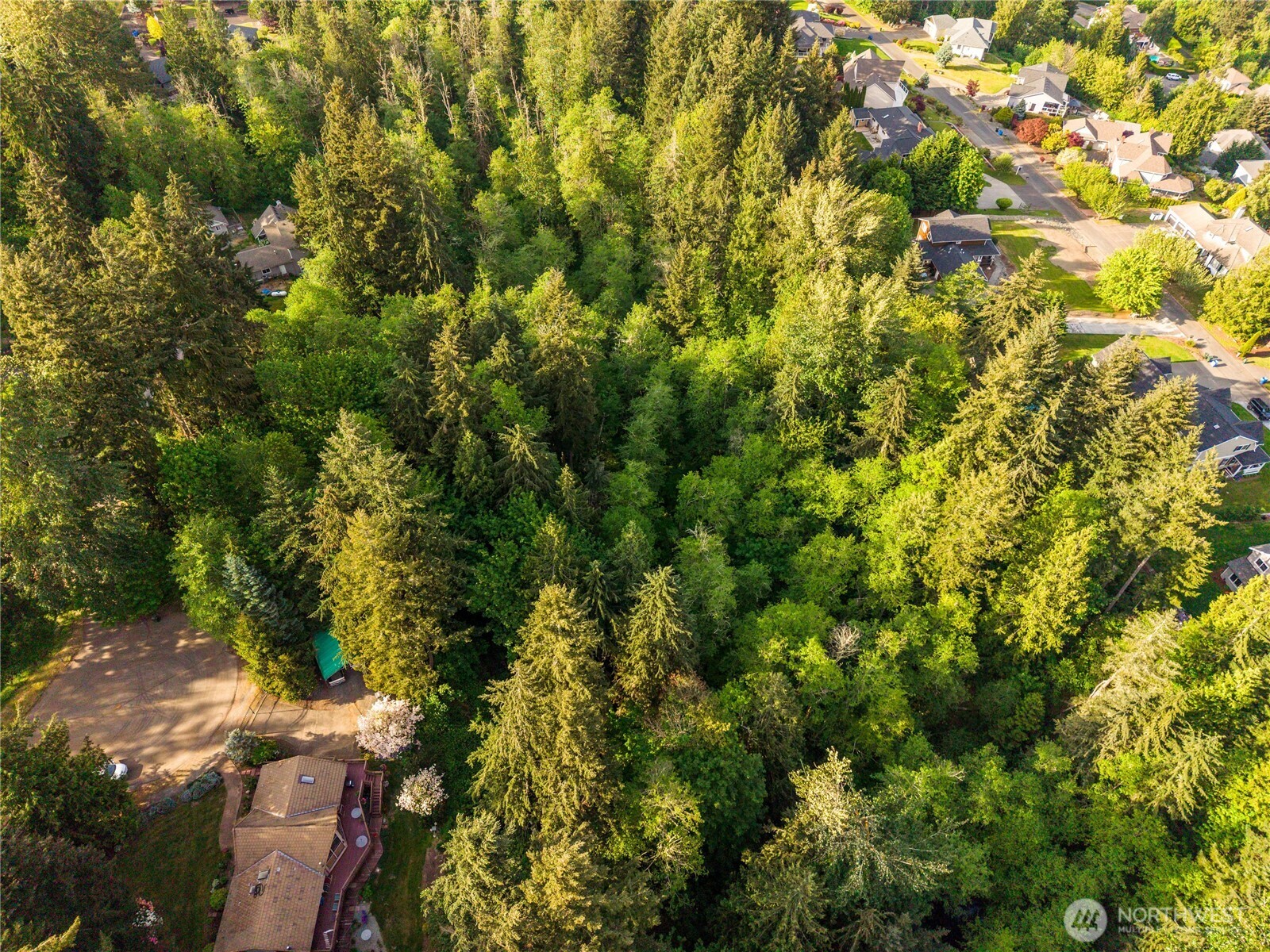 16217 232nd Street Ct E