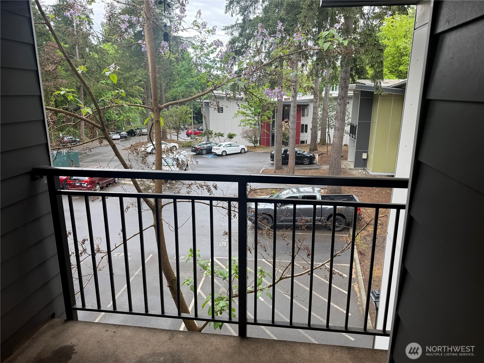 14556 NE 31st Street