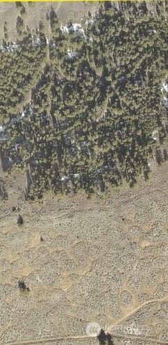 6 xx Chipmunk Trail