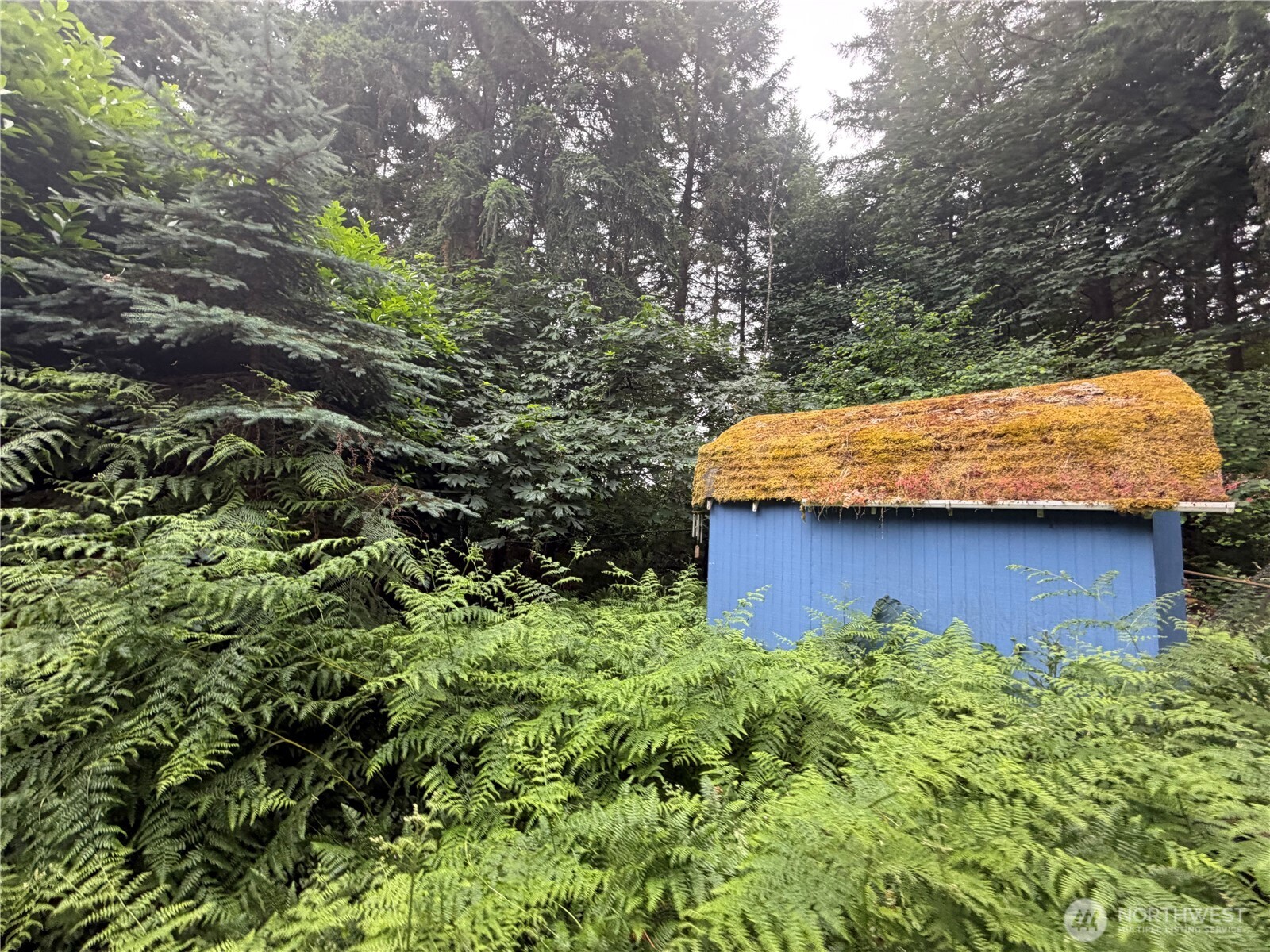 7637 Kittiwake Drive SE