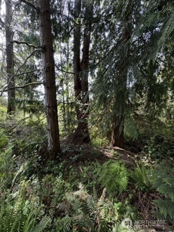 11106 Spruce Dr