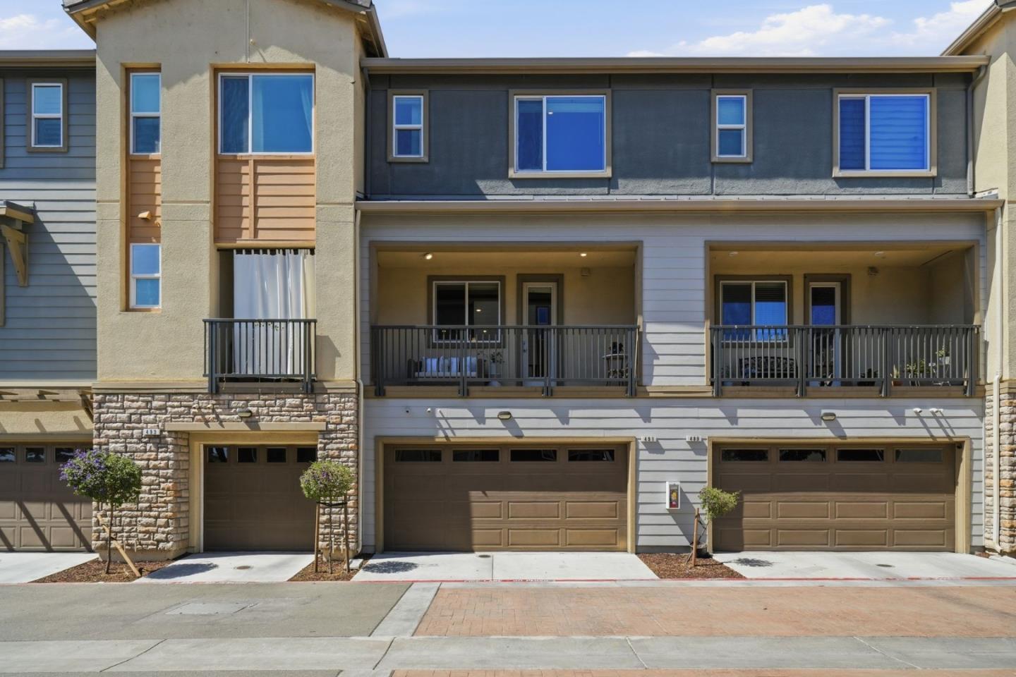 491 Snap Dragon ST