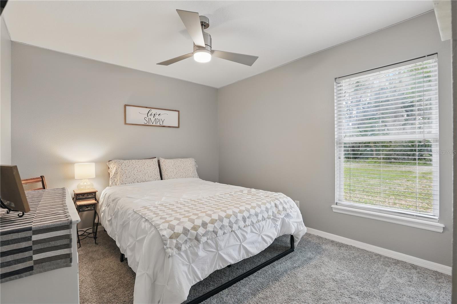 236 TOMS RD