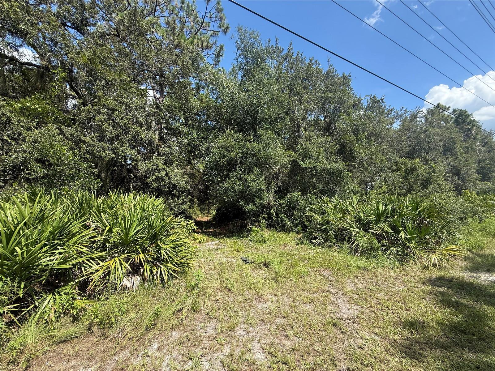 2521 ABSHER RD