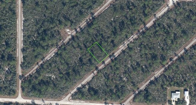 Aerial view of a wooded lot outlined in green among trees and unpaved roads.