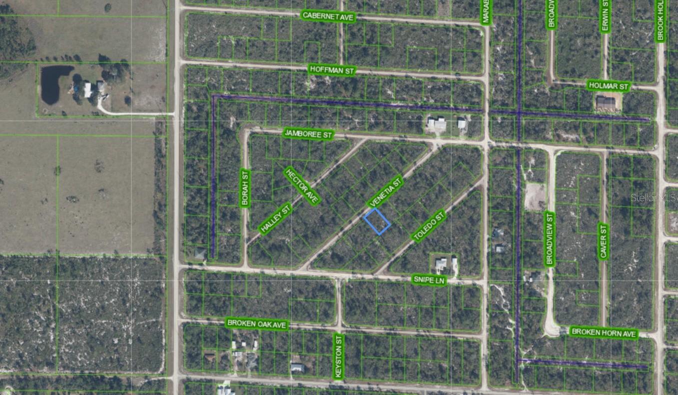 Aerial view of a wooded subdivision, with a vacant lot on Venetia Street outlined in blue.