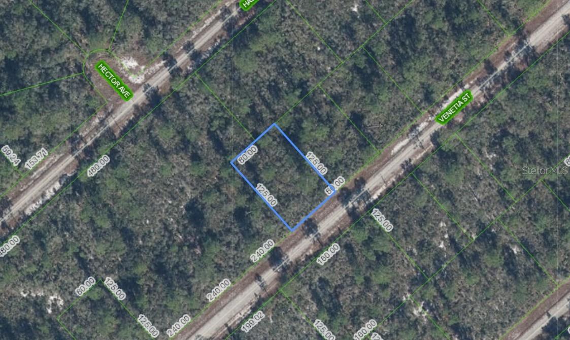 Wooded vacant lot outlined in blue beside Venetia Street, with parcel dimensions marked.