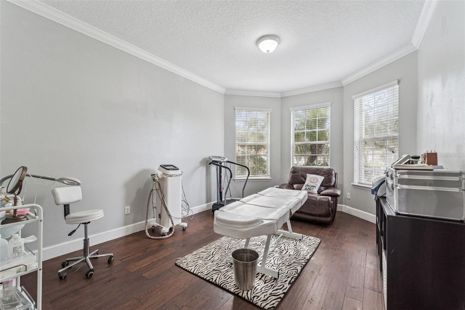 Home treatment room with a massage table on a zebra-pattern rug and three windows with blinds.
