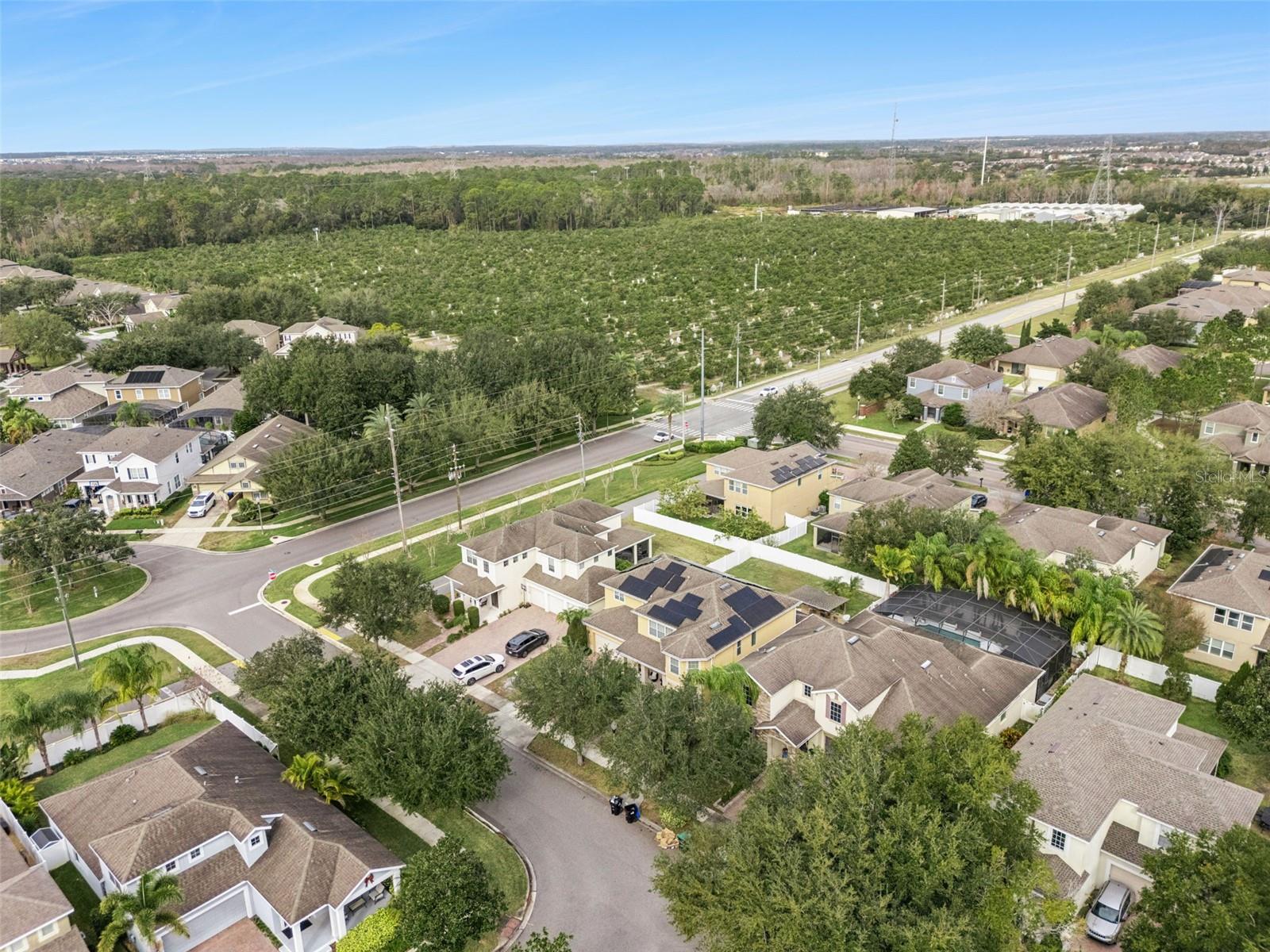 Aerial view of homes beside a large green agricultural plot and tree line.