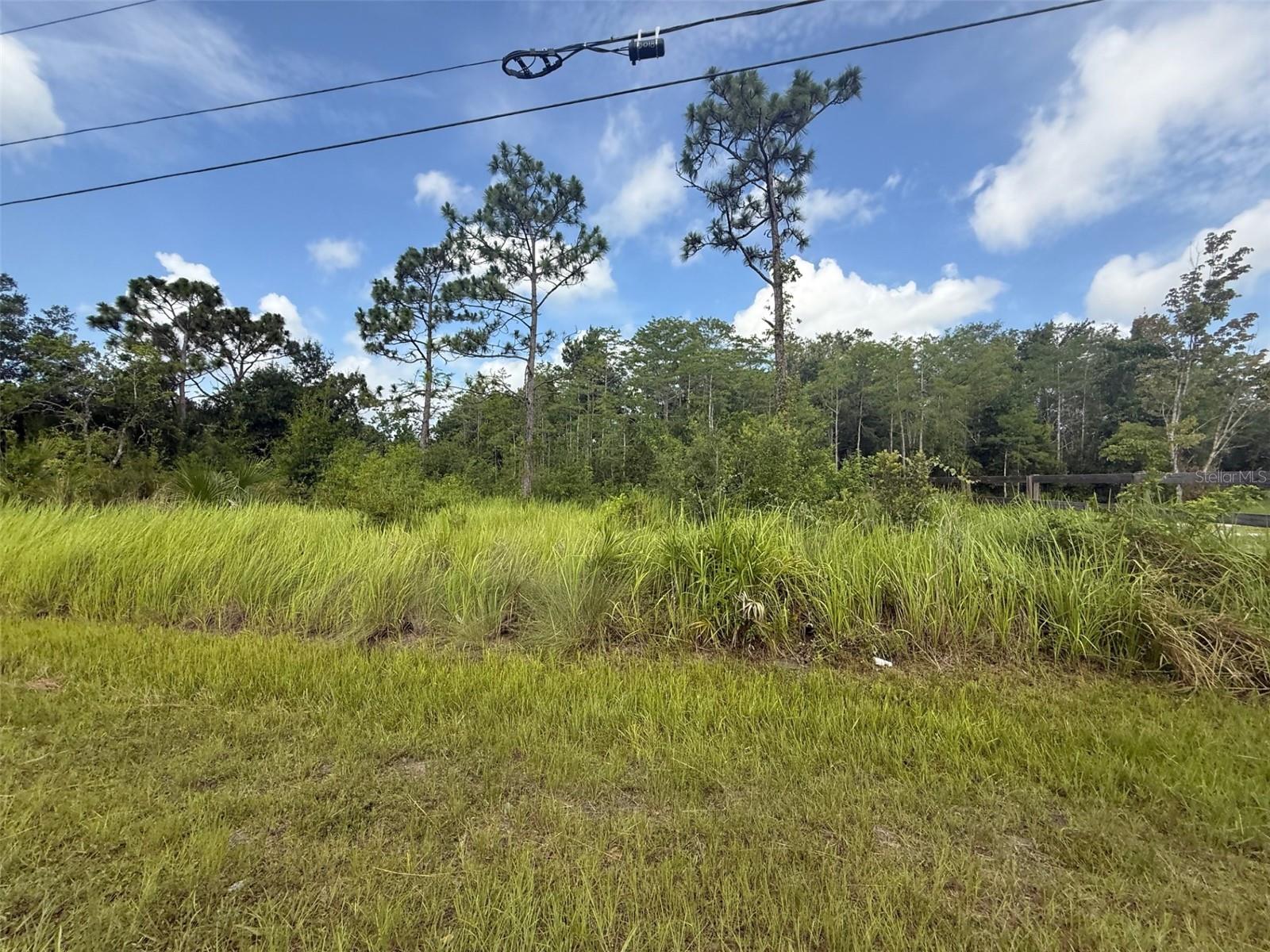 Vacant grassy lot bordered by trees, with utility lines overhead and a fence at the right.