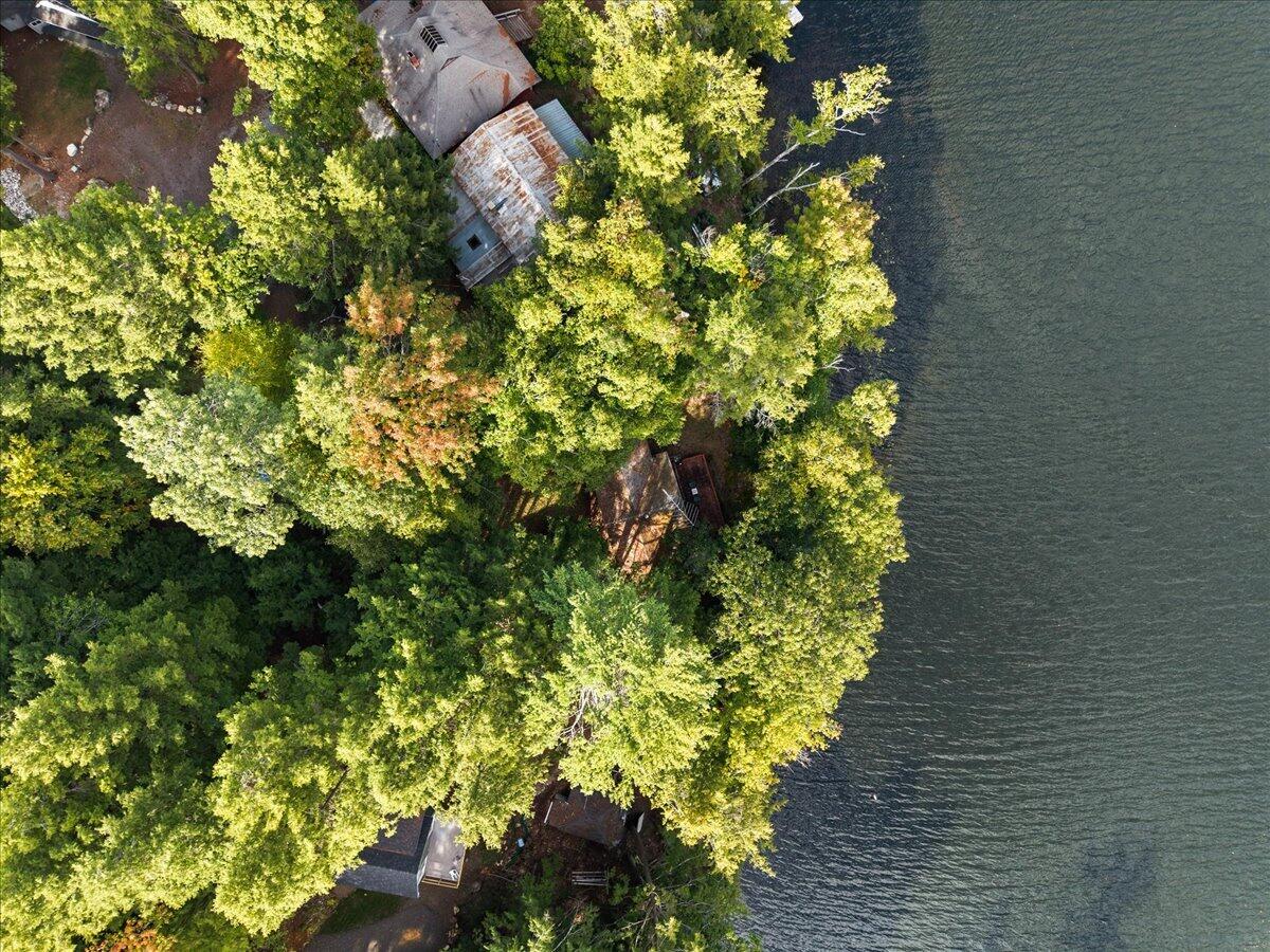49 Pinehaven Drive