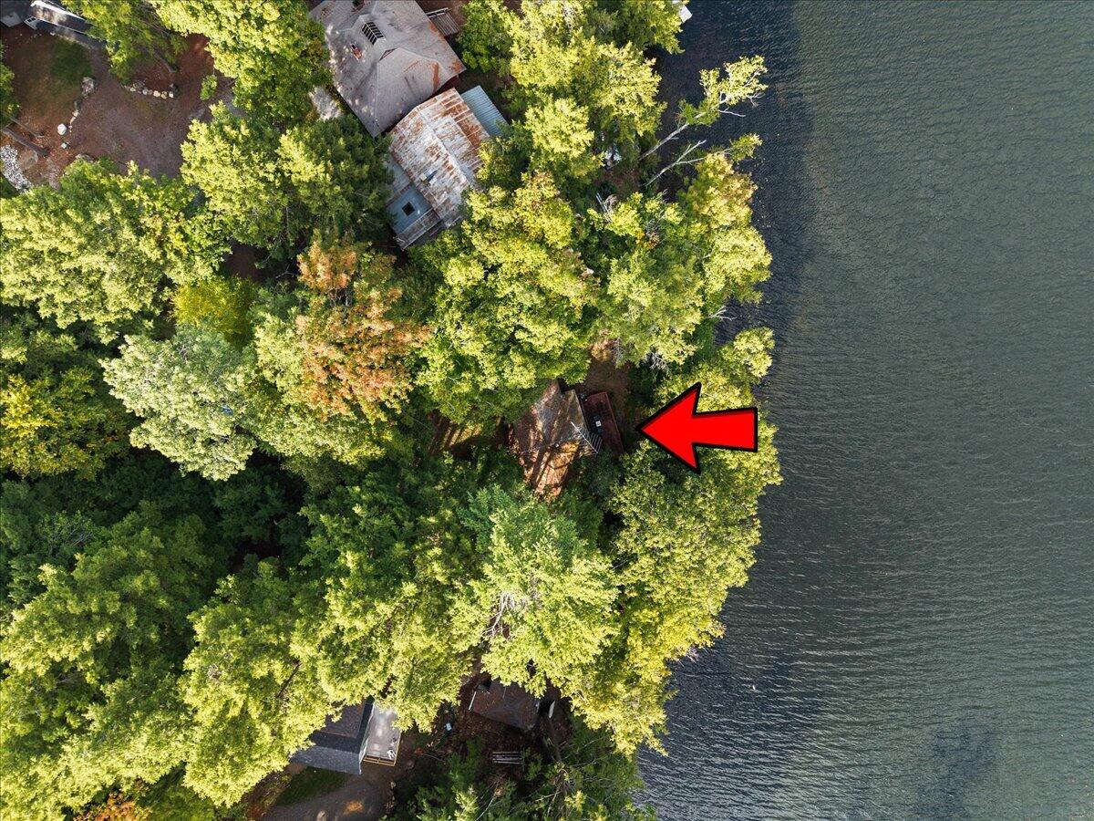 49 Pinehaven Drive