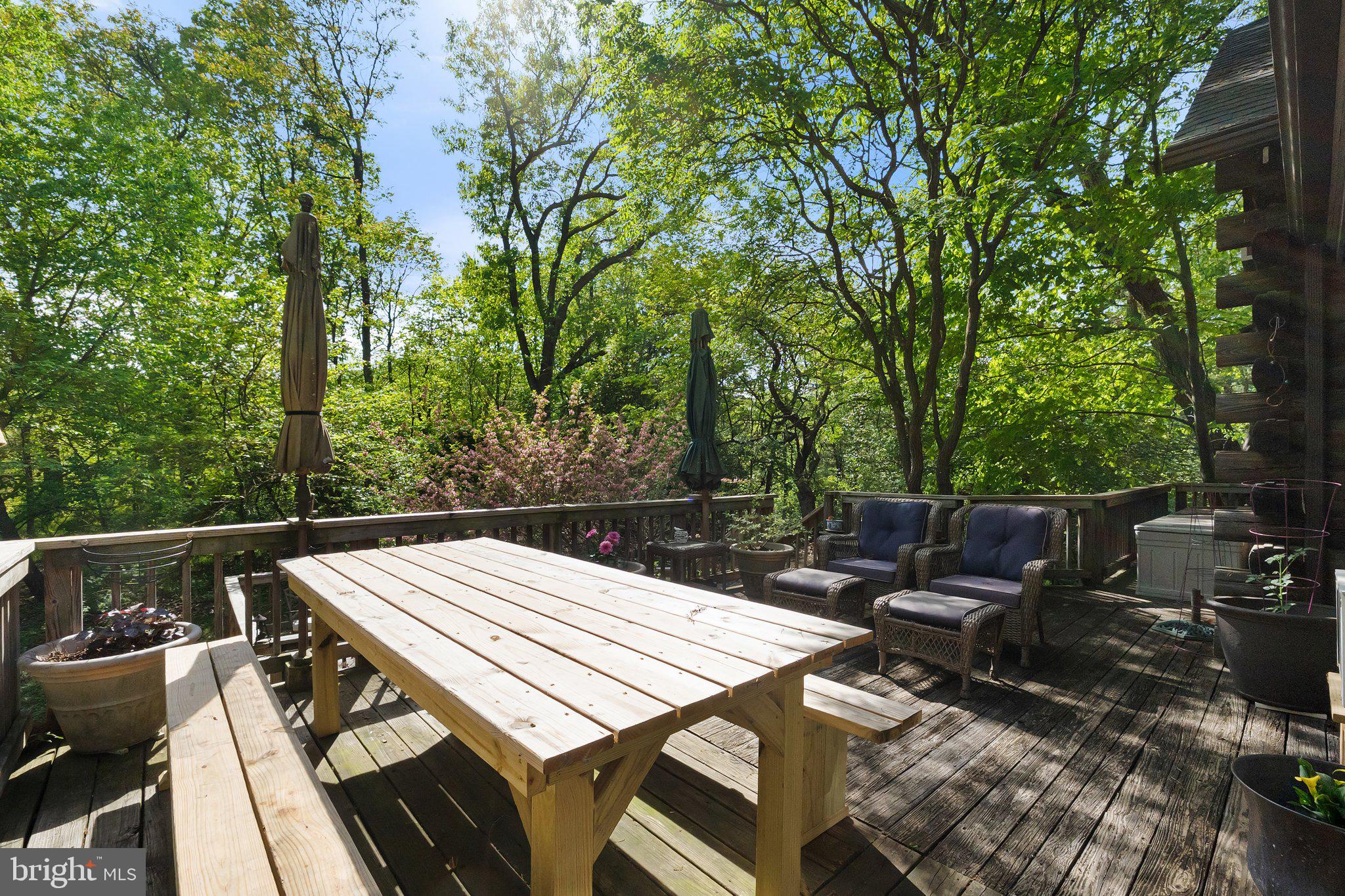 3513 Cobbler Mountain Rd