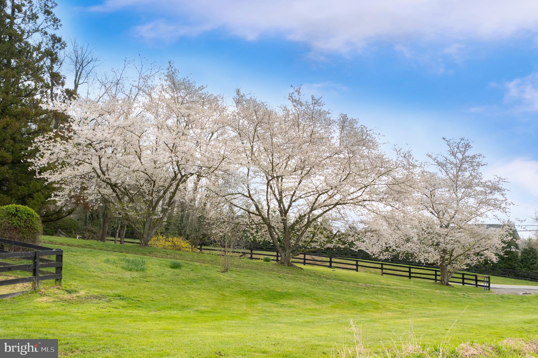 18765 Silcott Springs Rd