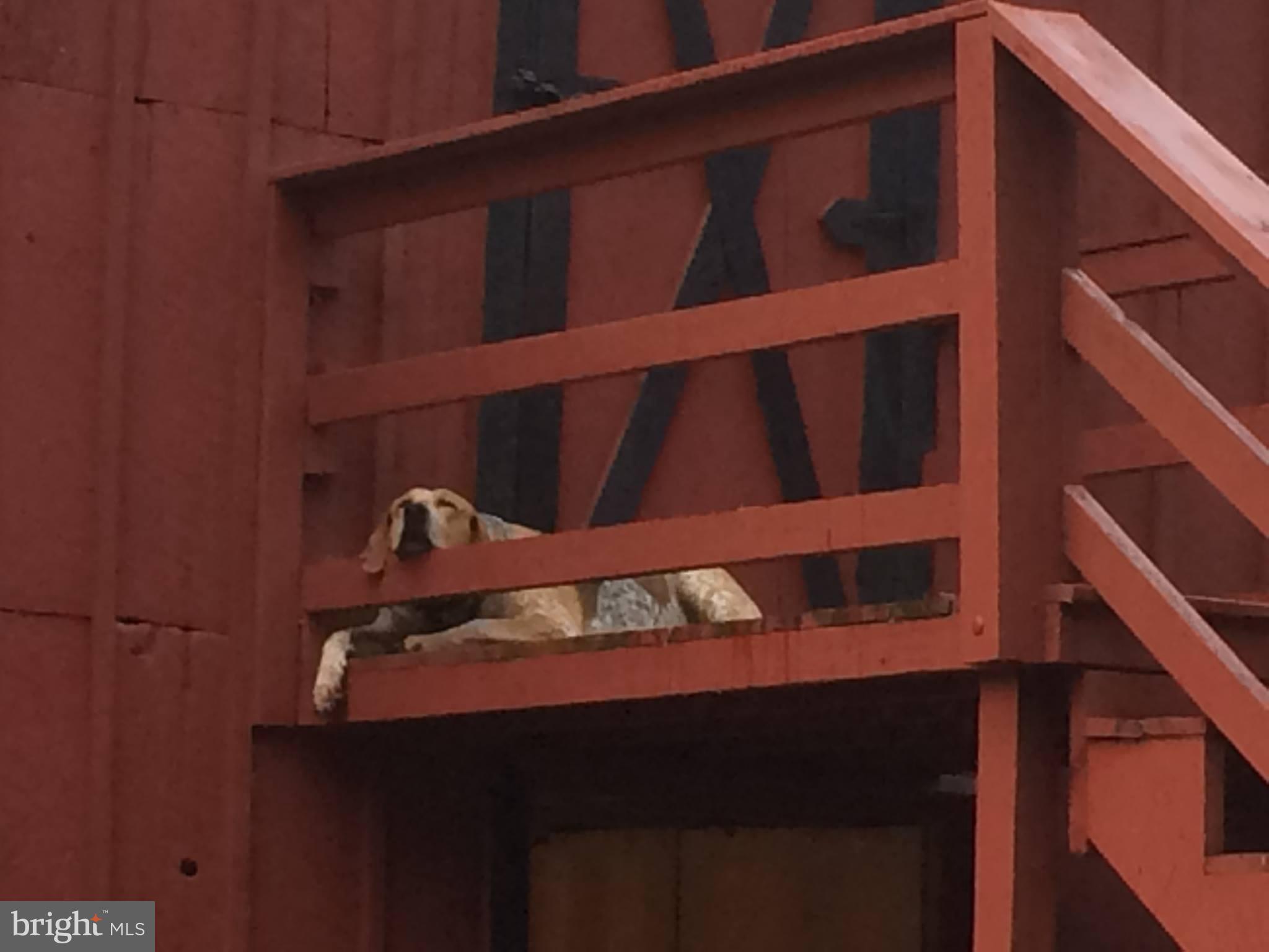 18765 Silcott Springs Rd