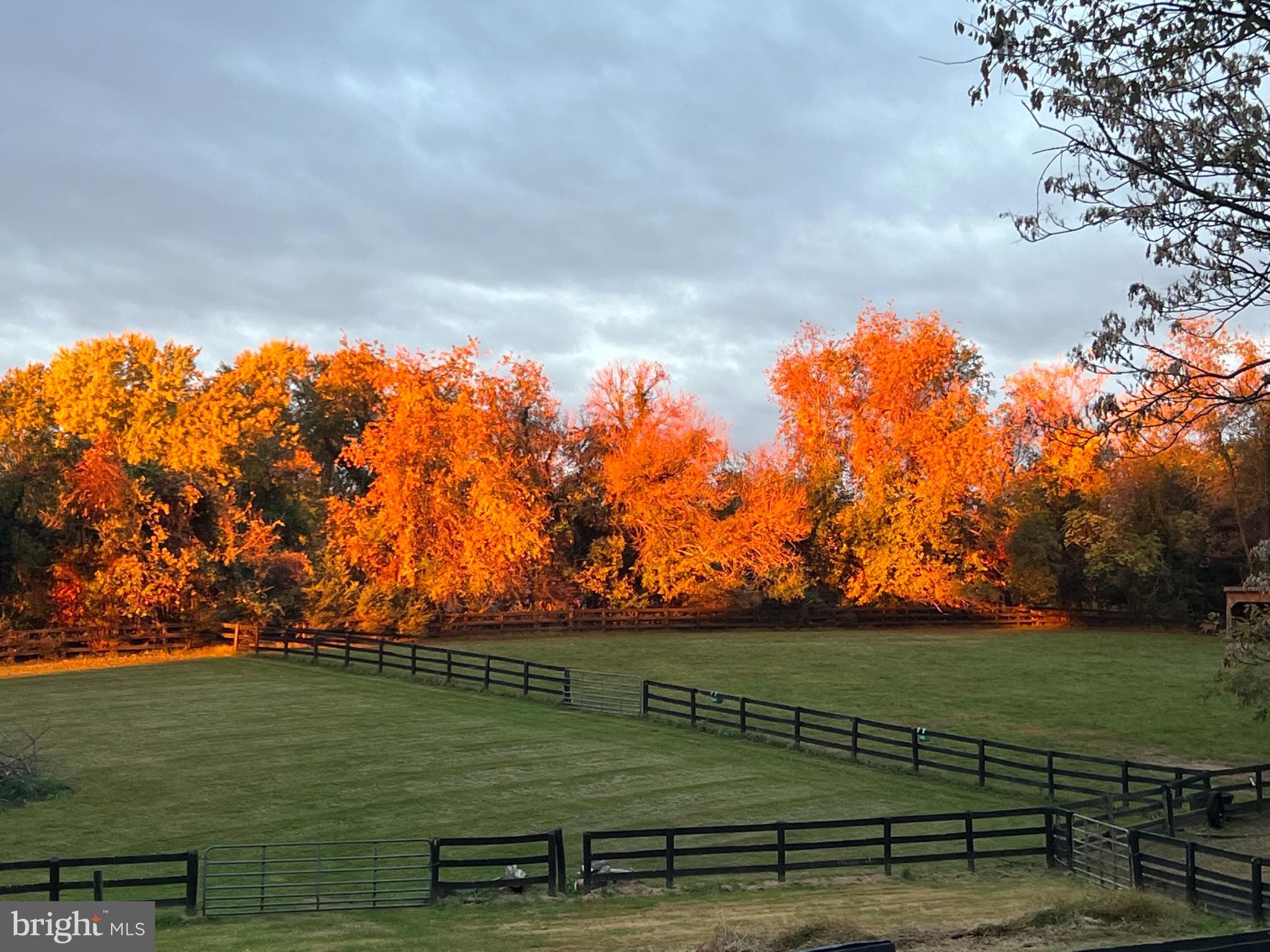 18765 Silcott Springs Rd