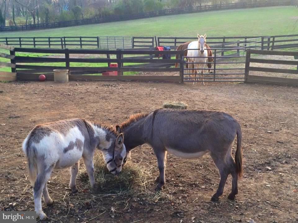 18765 Silcott Springs Rd