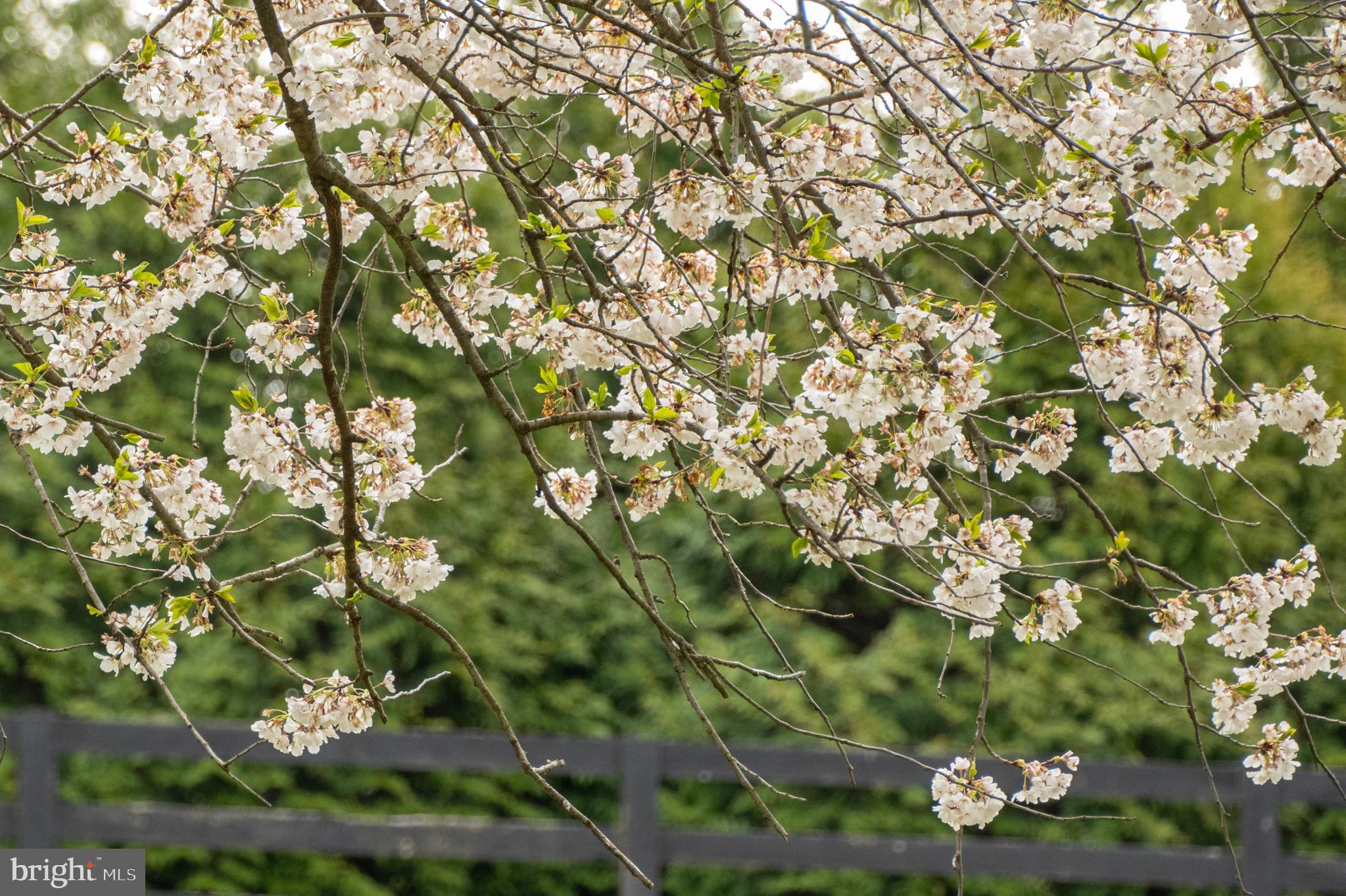 18765 Silcott Springs Rd