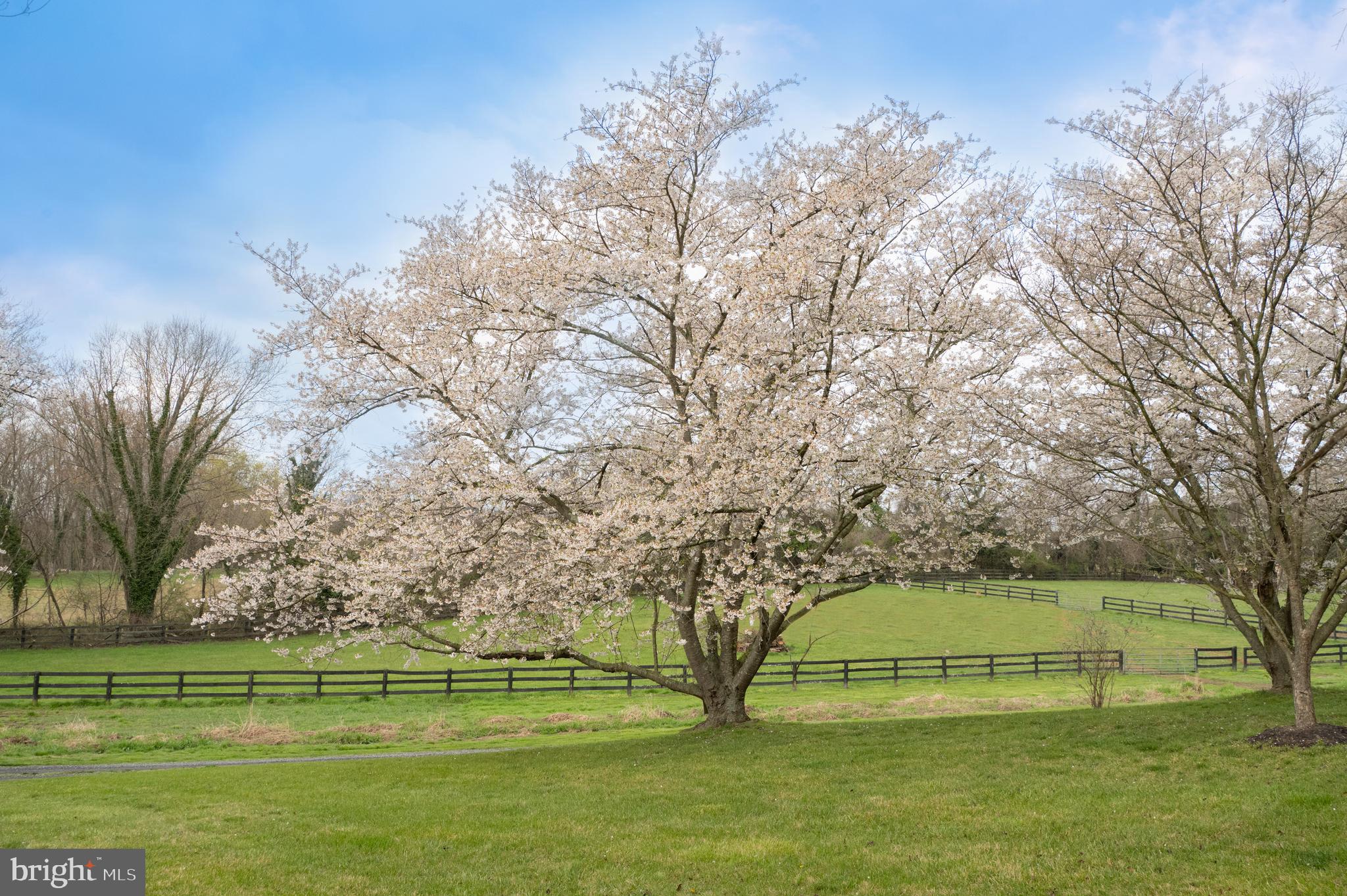 18765 Silcott Springs Rd