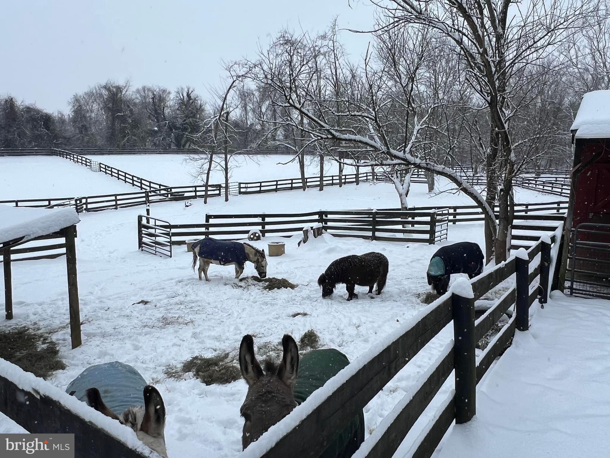 18765 Silcott Springs Rd