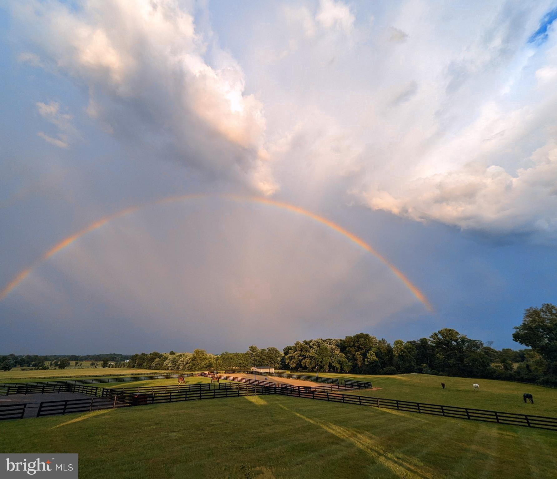 19798 Foggy Bottom Rd