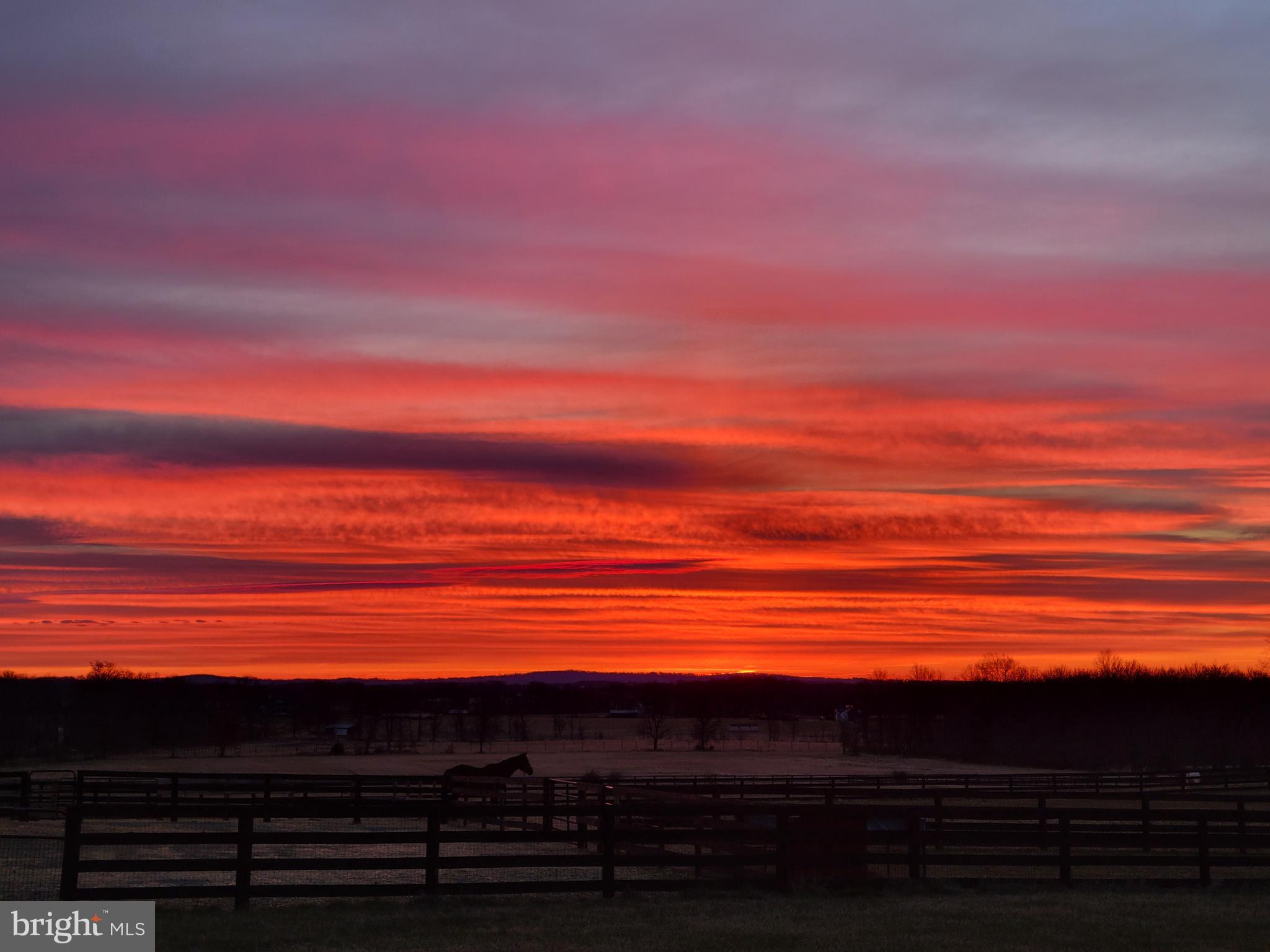 19798 Foggy Bottom Rd