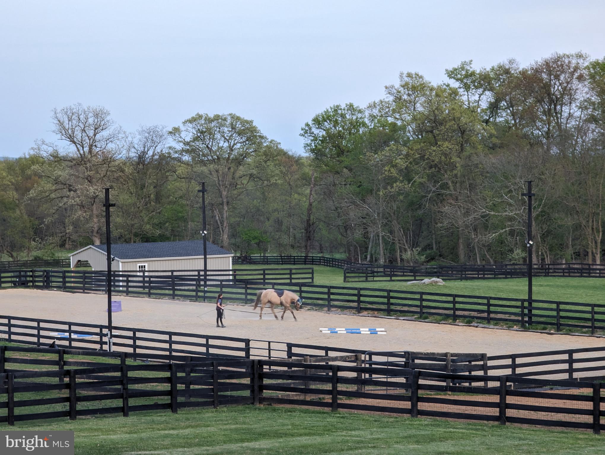 19798 Foggy Bottom Rd