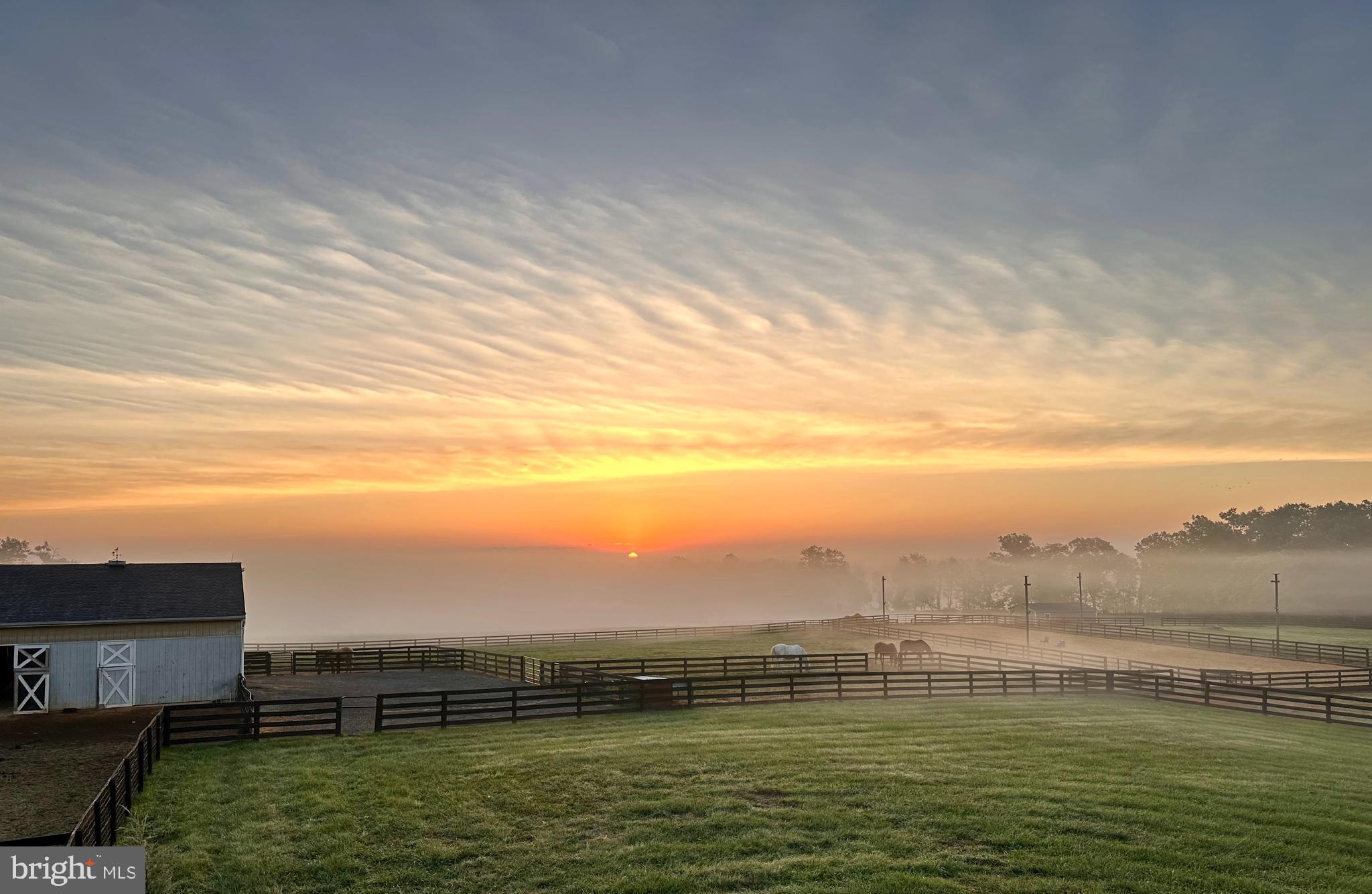 19798 Foggy Bottom Rd