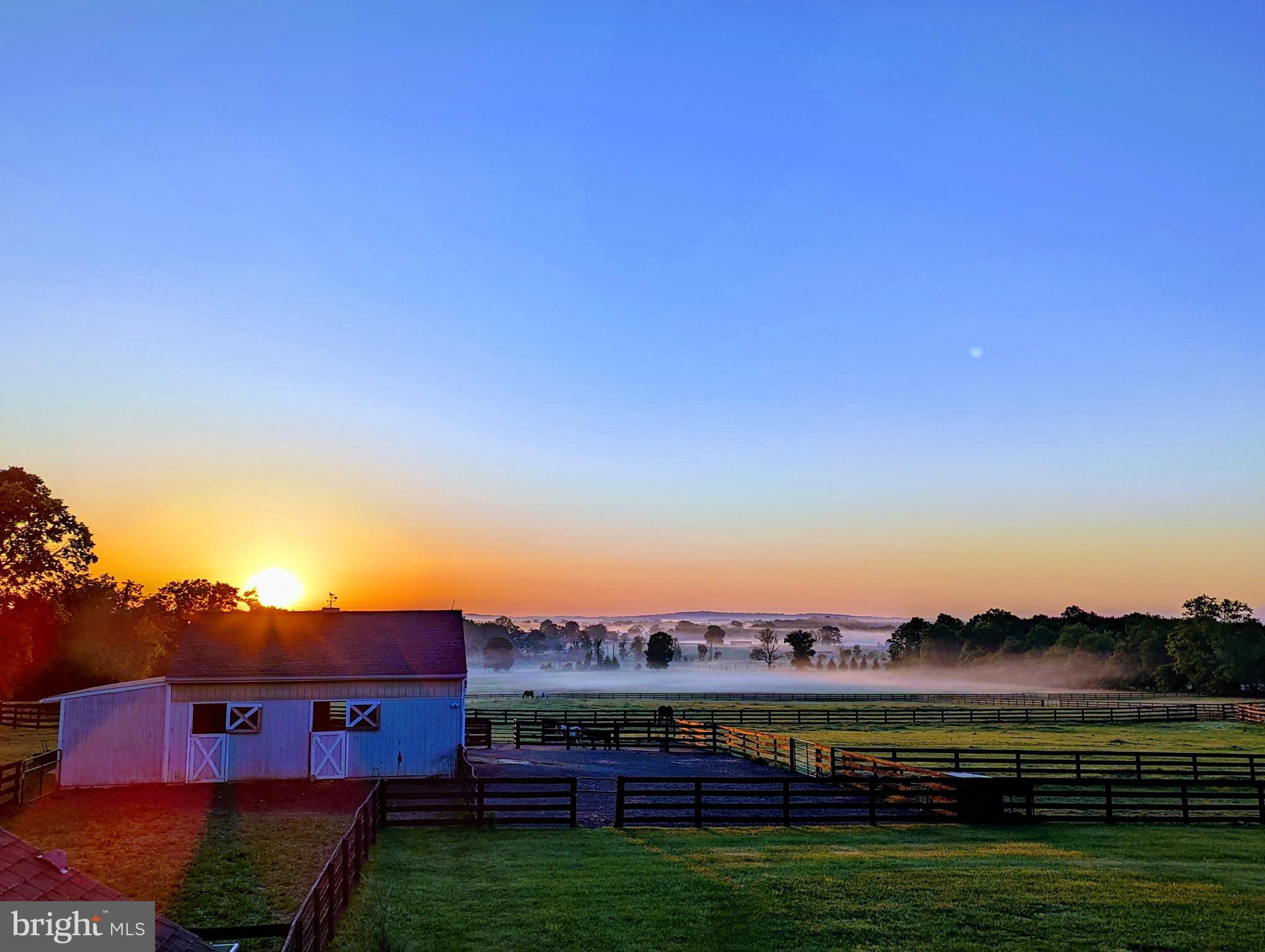 19798 Foggy Bottom Rd