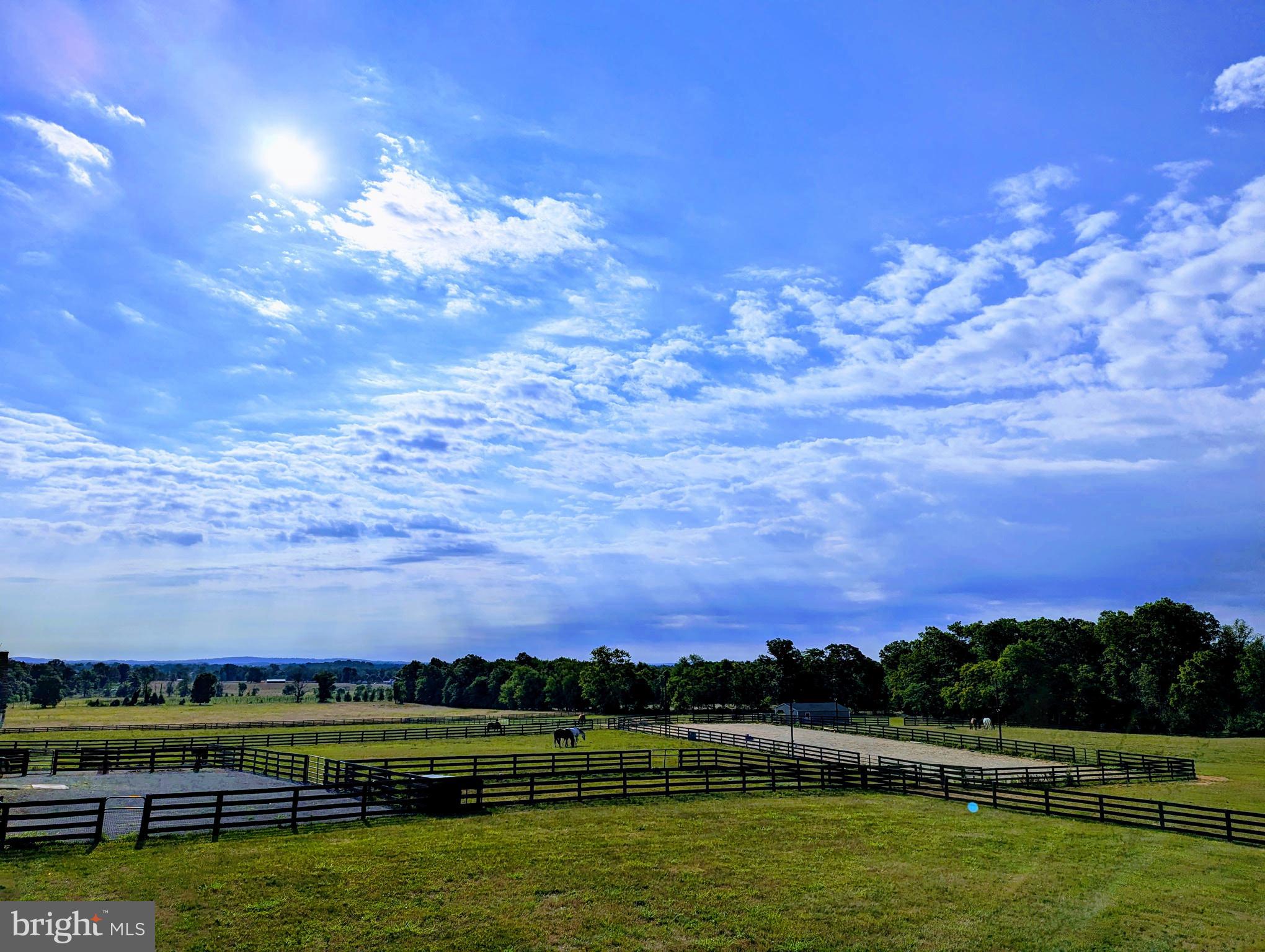 19798 Foggy Bottom Rd