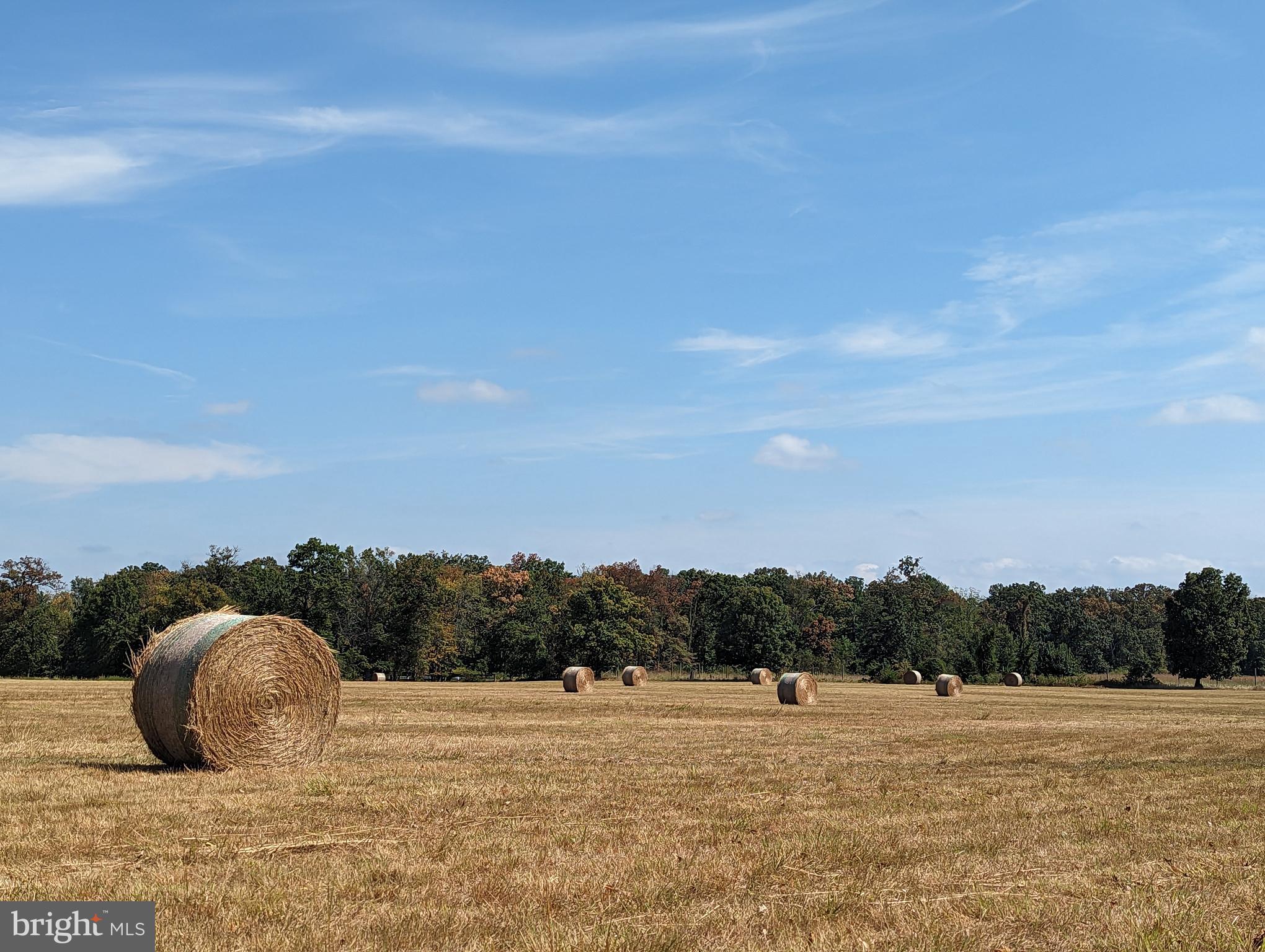 19798 Foggy Bottom Rd