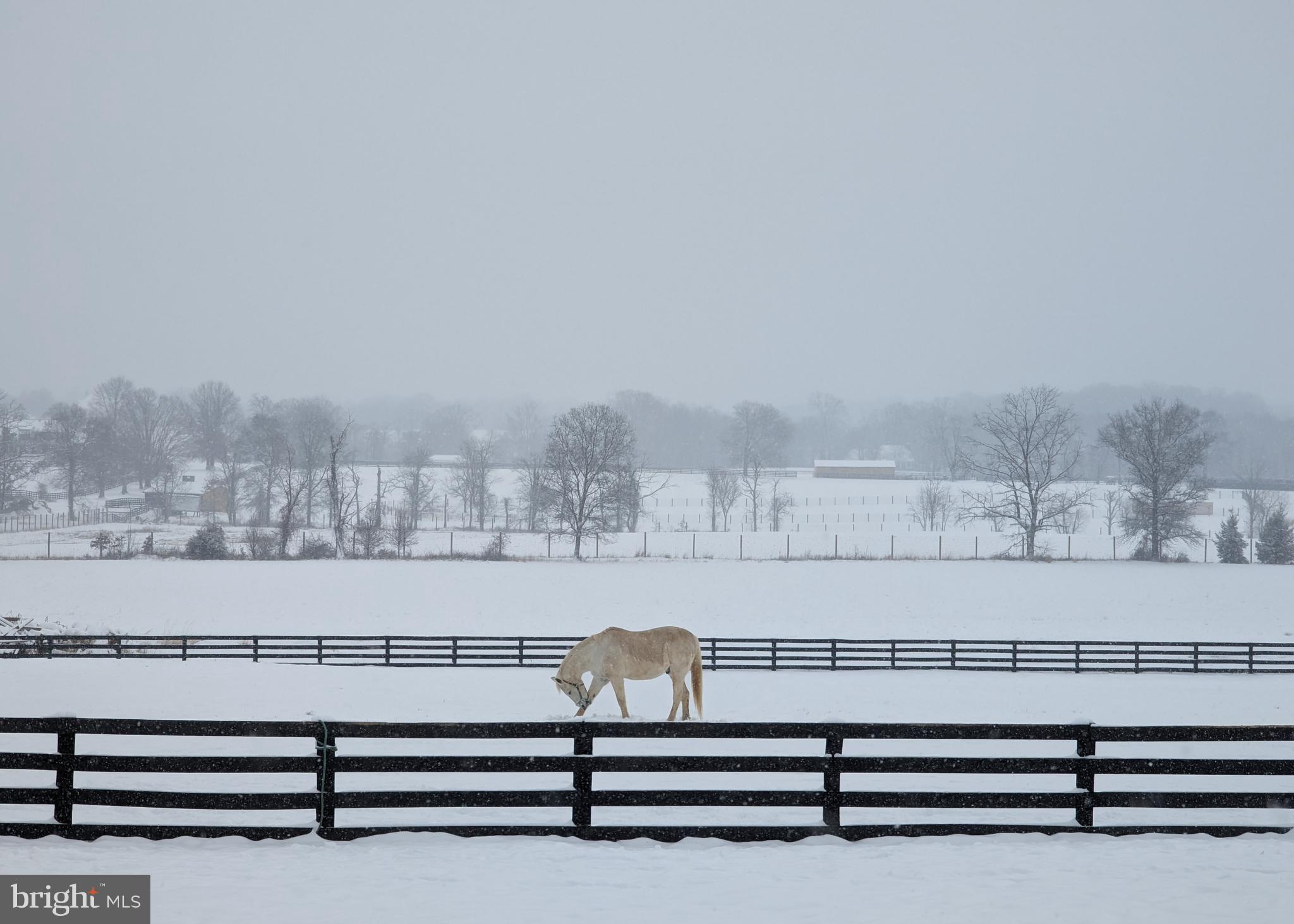 19798 Foggy Bottom Rd