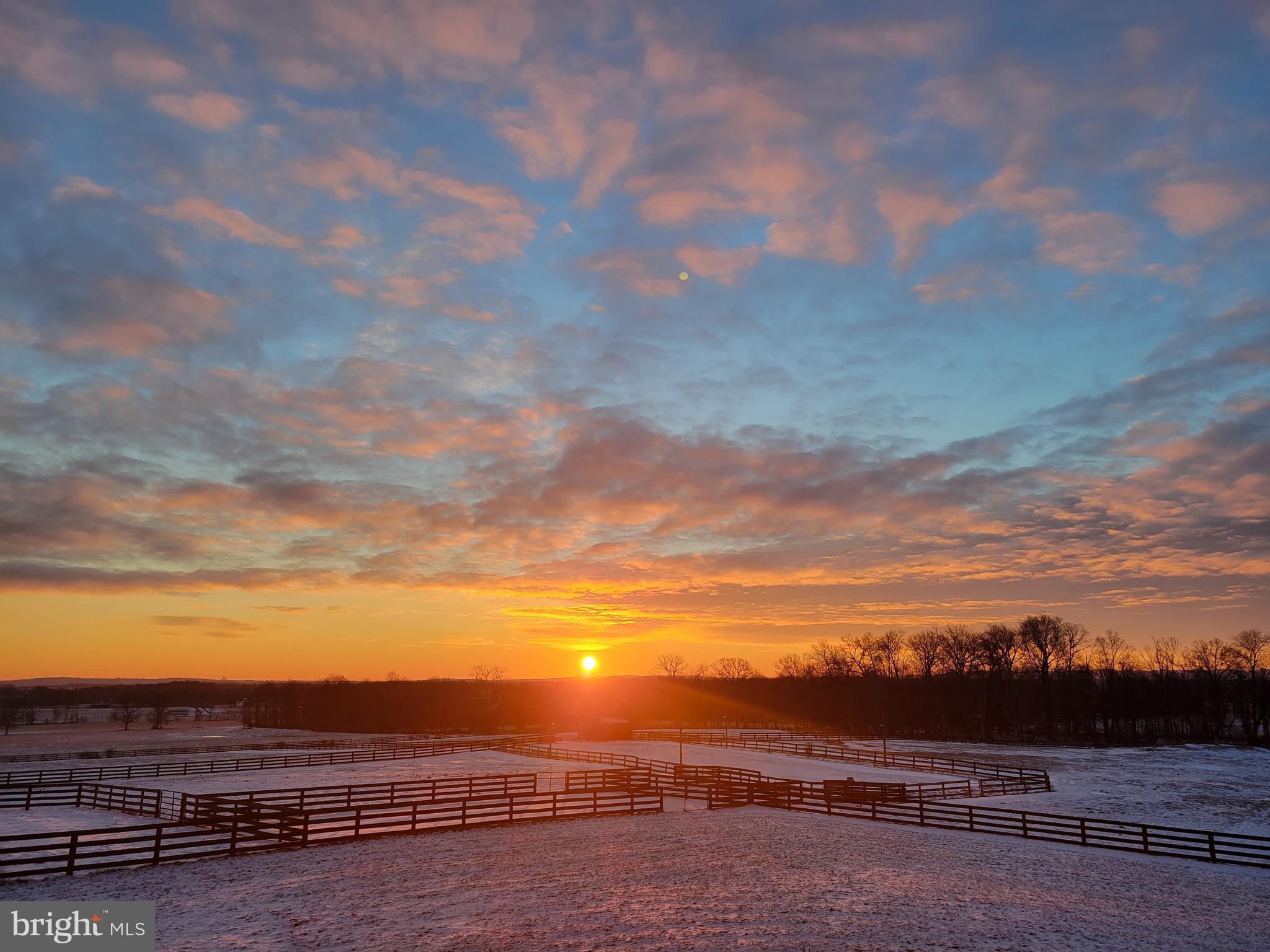 19798 Foggy Bottom Rd