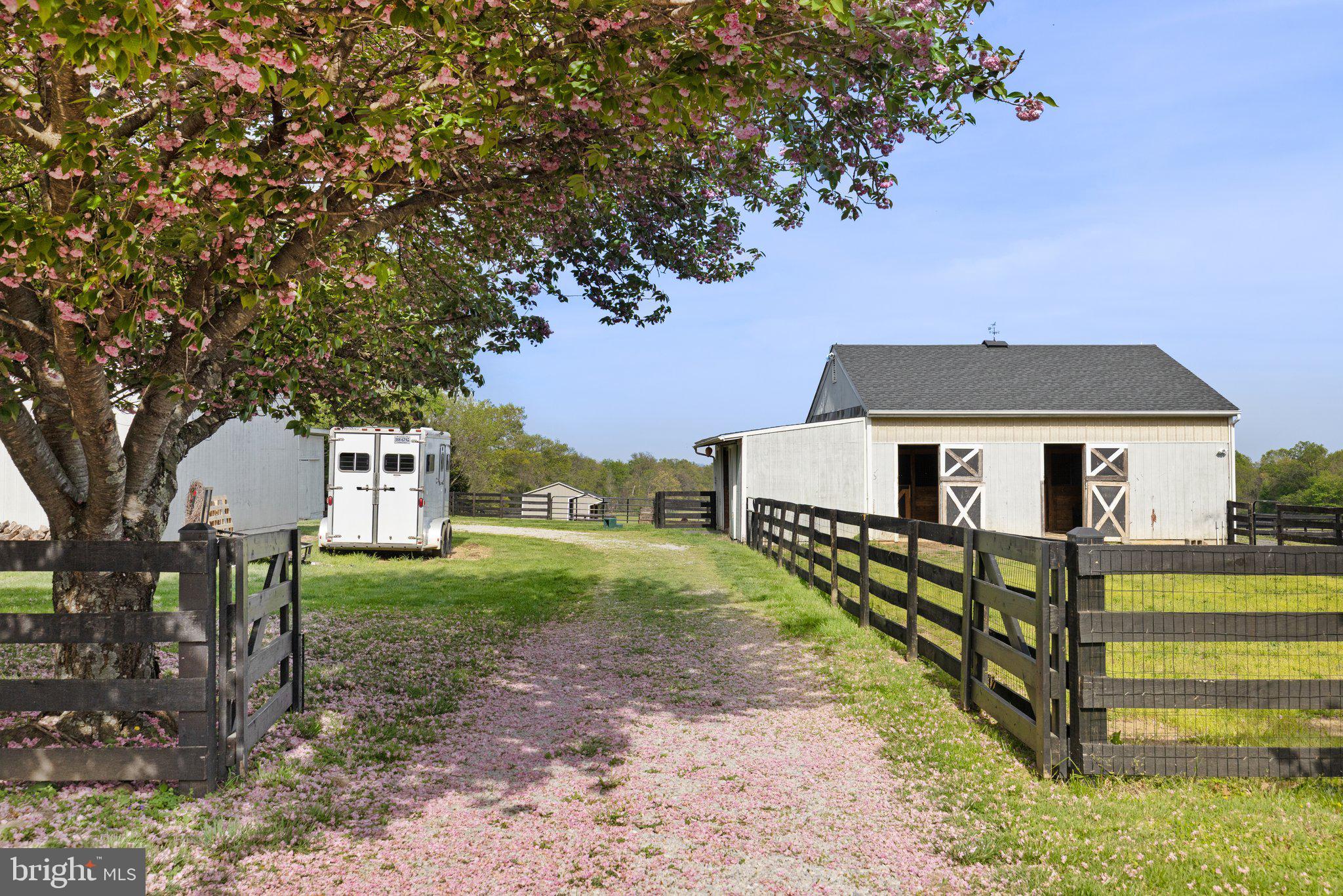 19798 Foggy Bottom Rd