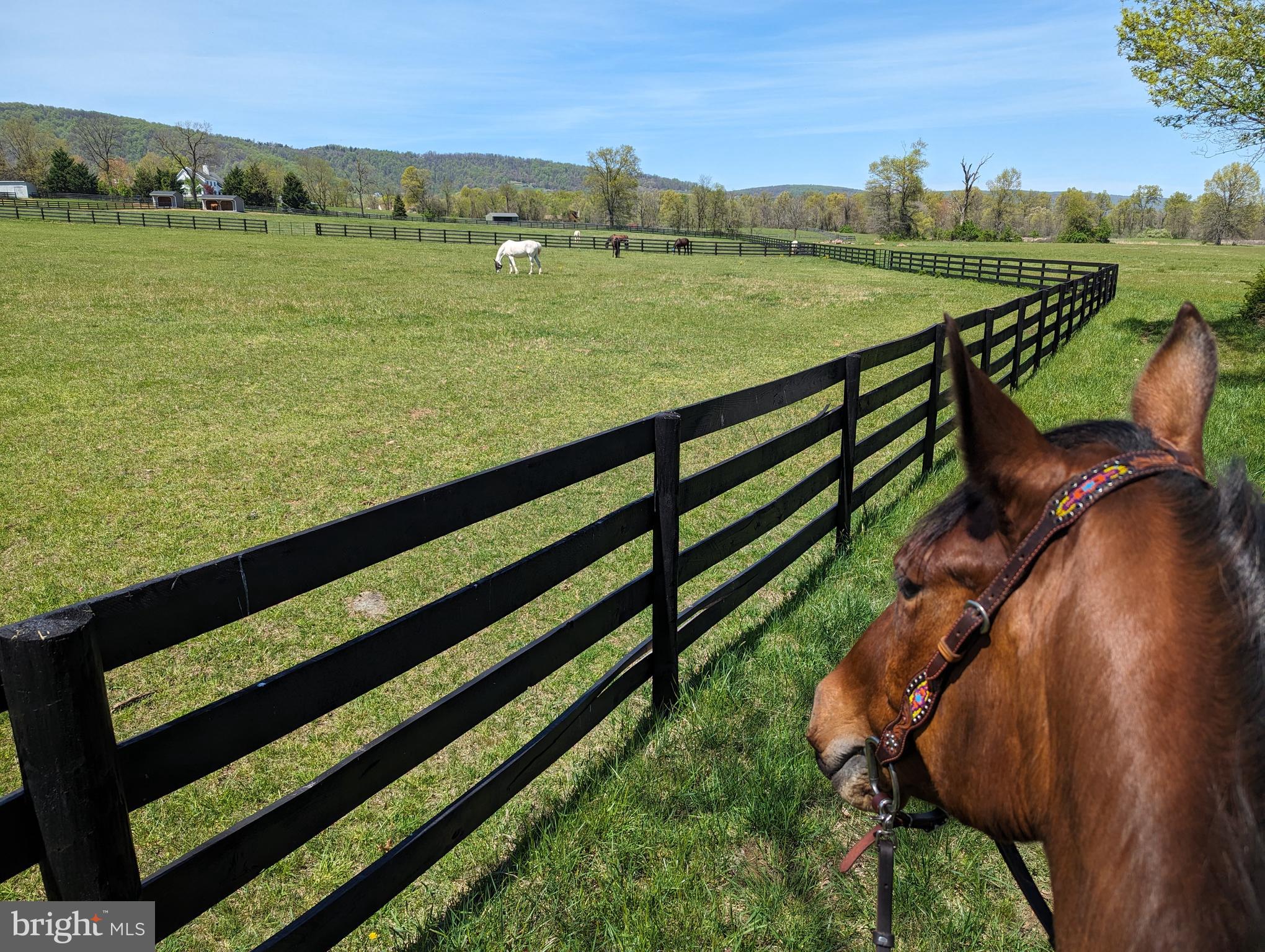 19798 Foggy Bottom Rd