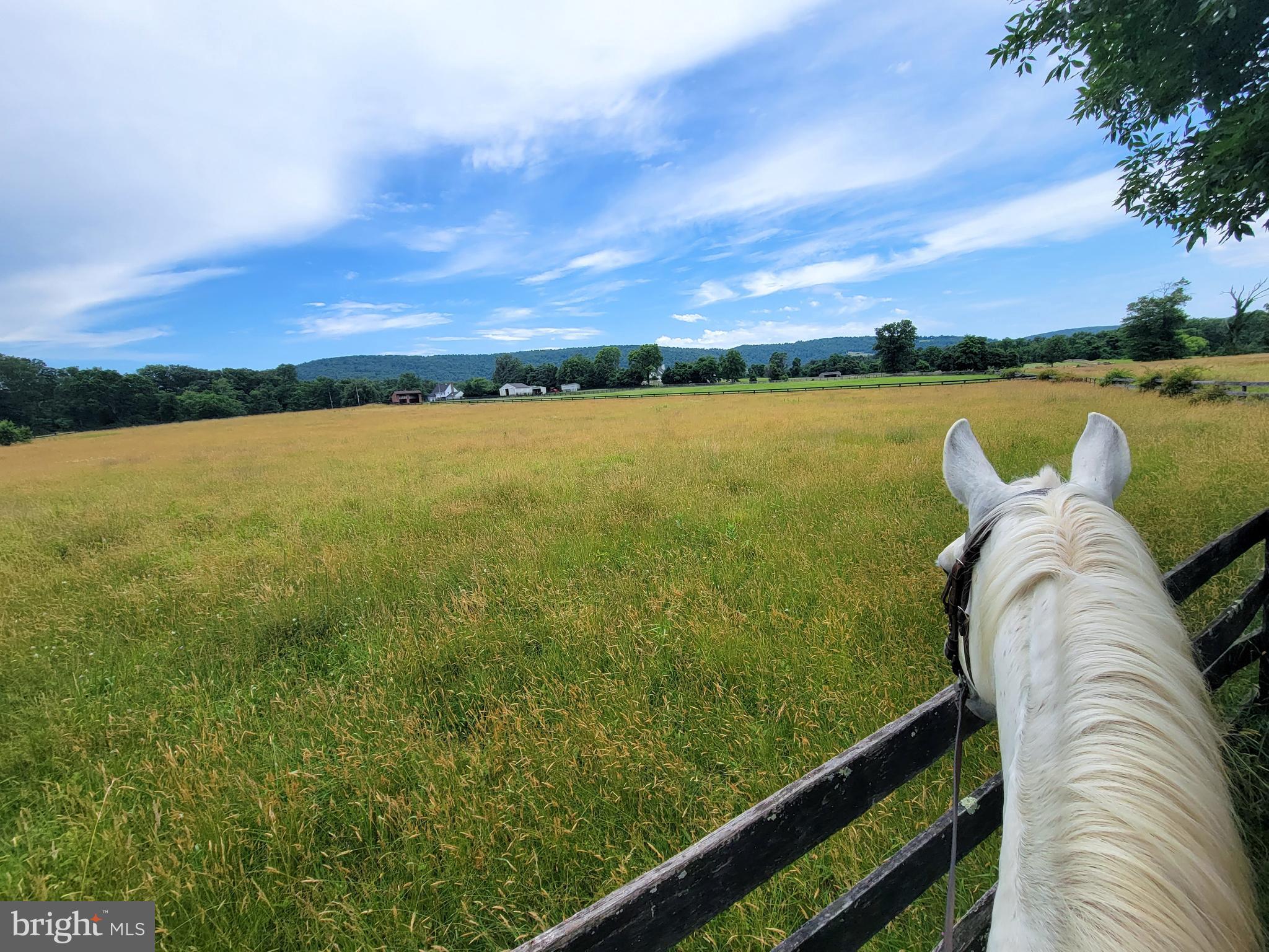 19798 Foggy Bottom Rd