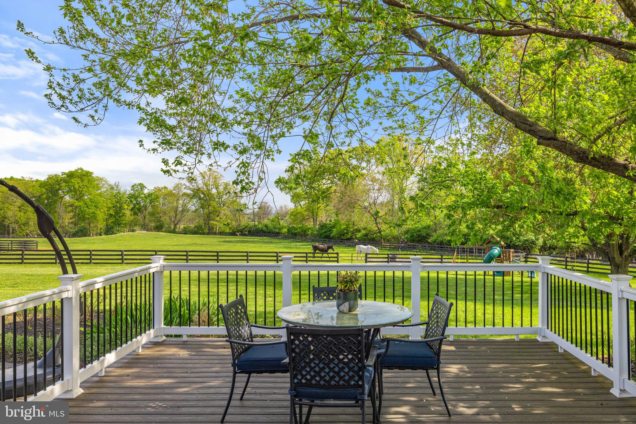 19798 Foggy Bottom Rd