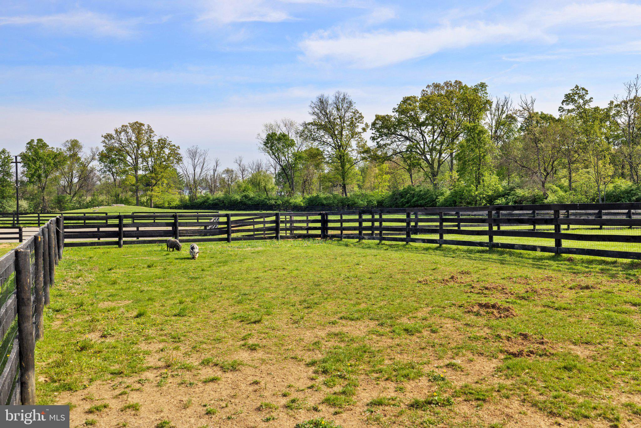 19798 Foggy Bottom Rd