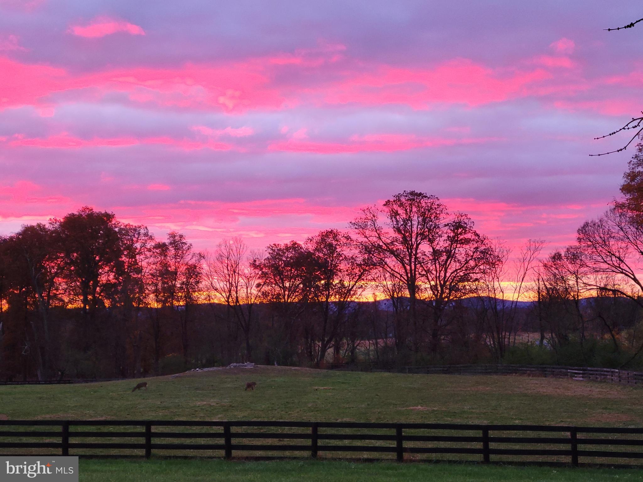 19798 Foggy Bottom Rd