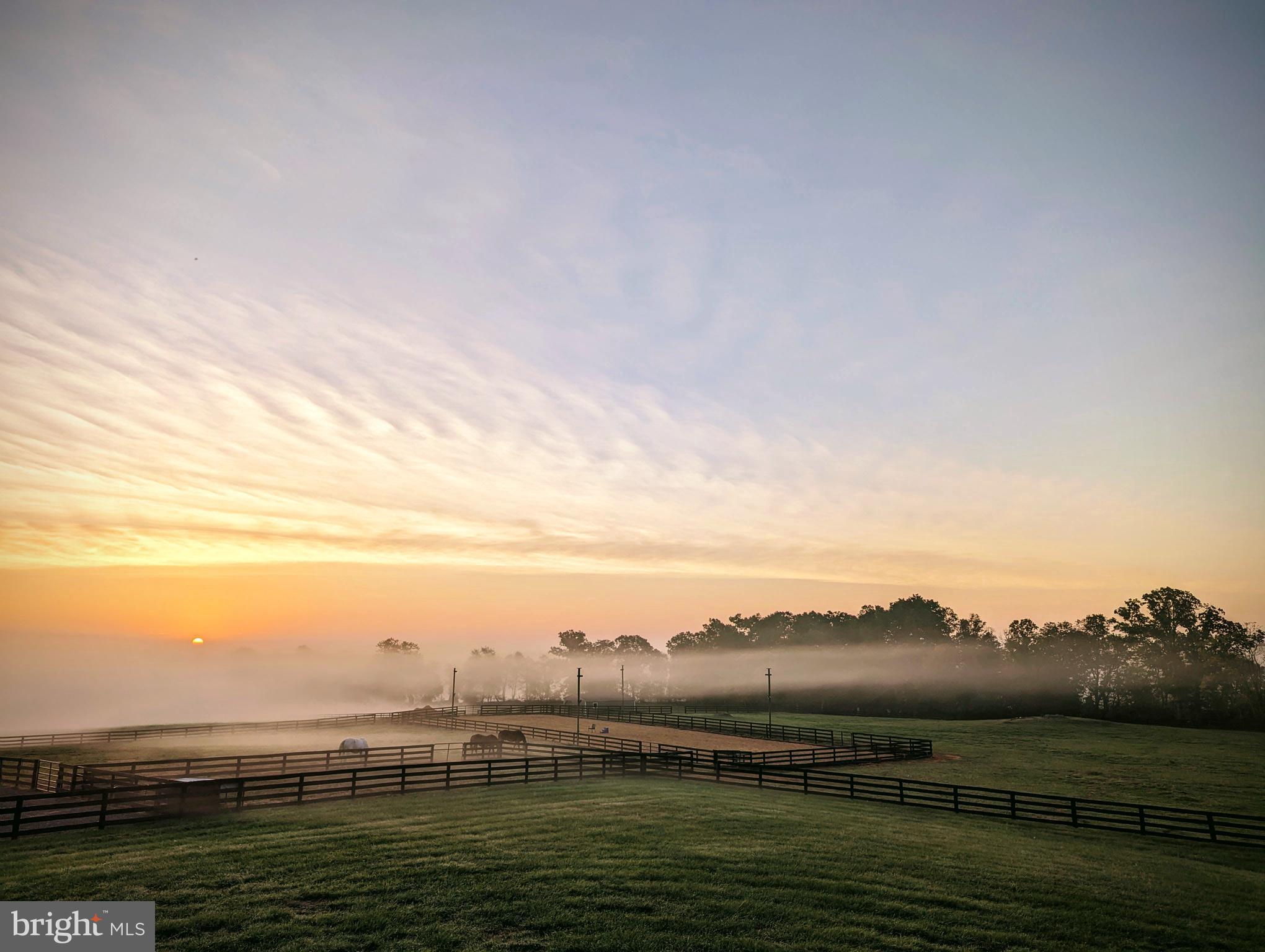 19798 Foggy Bottom Rd