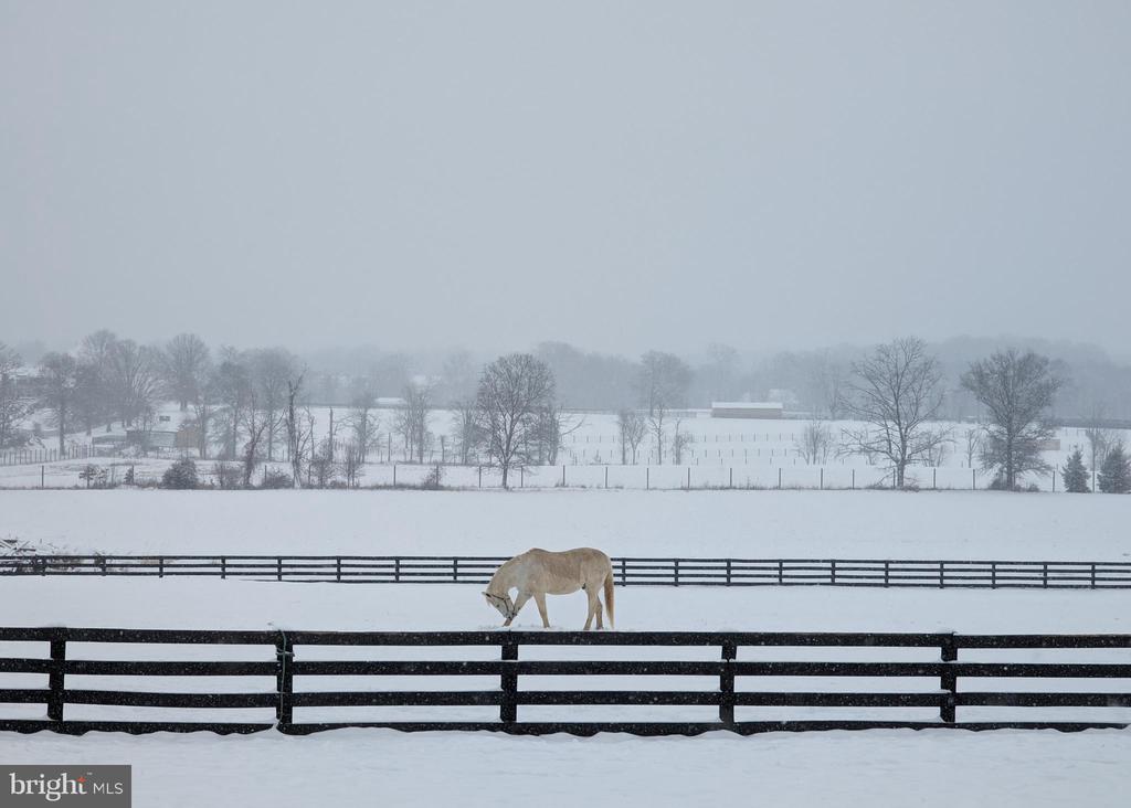19798 Foggy Bottom Rd